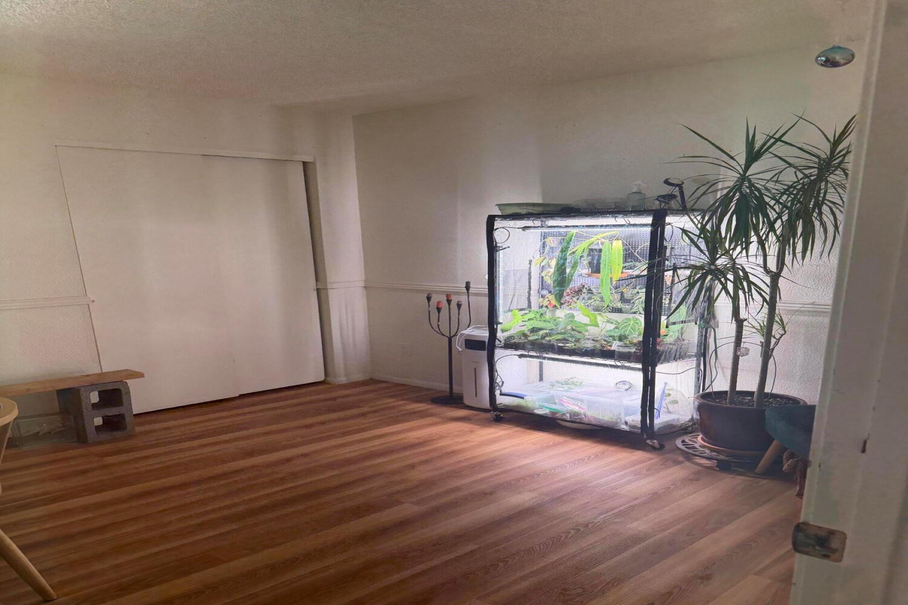  3615 W Mountain Drive¦Flagstaff, AZ - 物件實景