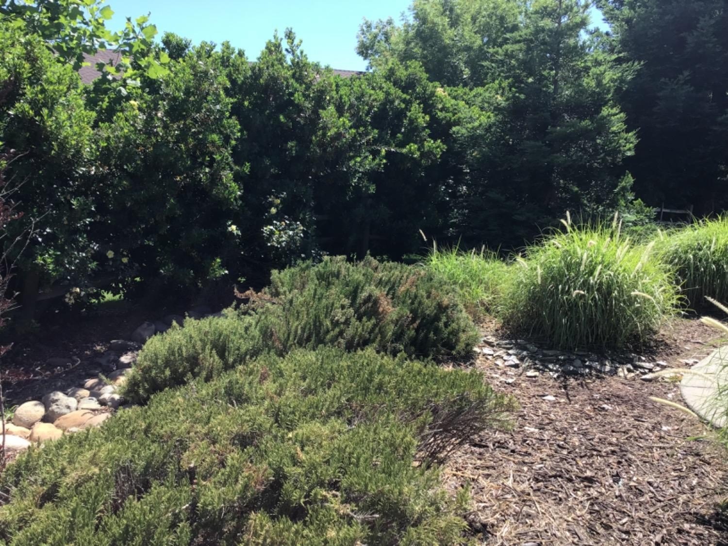 205 Quail Meadow Lane, Copperopolis, California, 95228, United States, 3 Bedrooms Bedrooms, ,3 BathroomsBathrooms,Residential,For Sale,205 Quail Meadow Lane,1664769