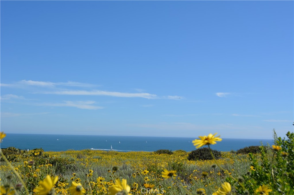 Dana Point, California, 92629, United States, ,Residential,For Sale,1924804