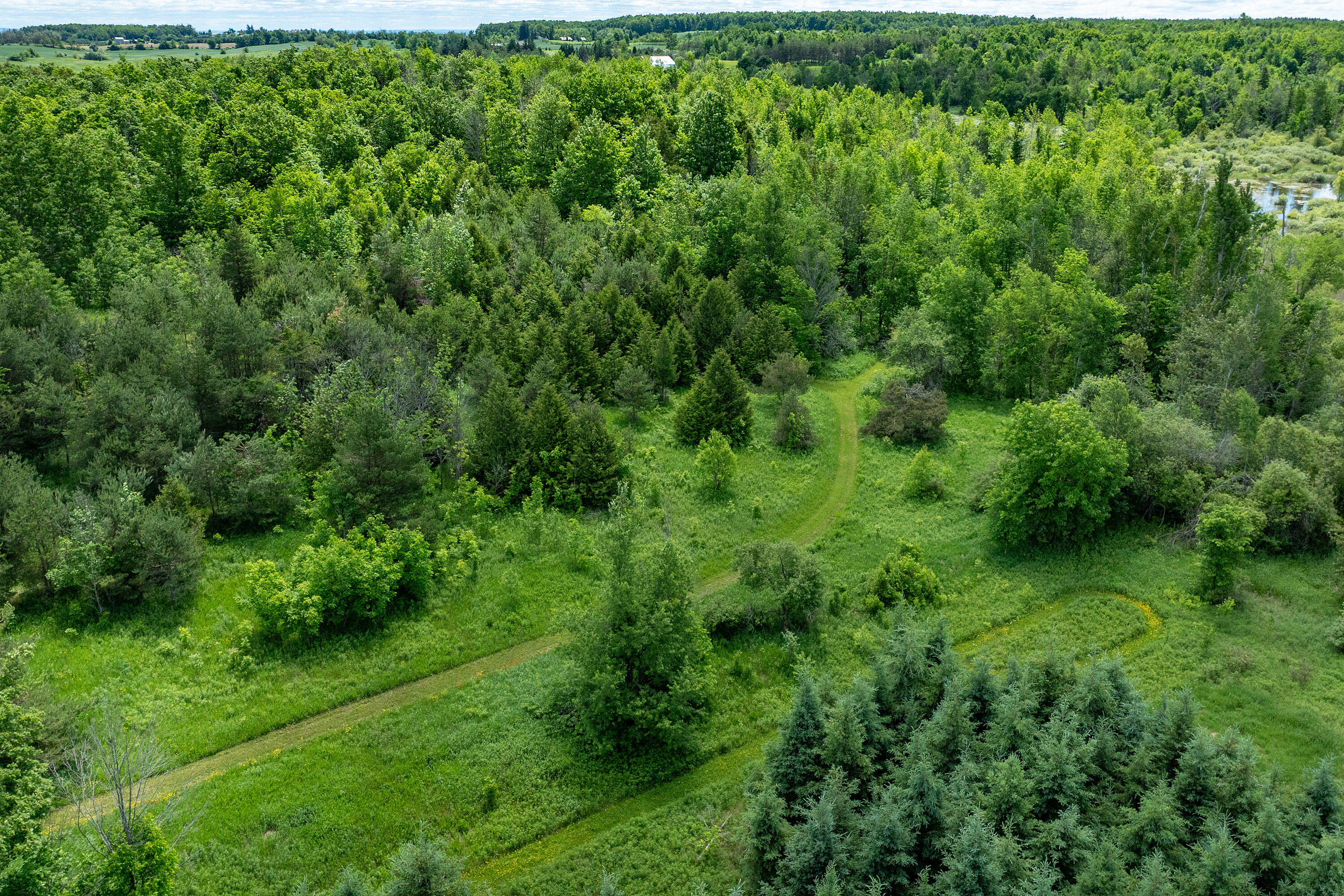  50 acre parcel in Mulmur ON - 物件實景