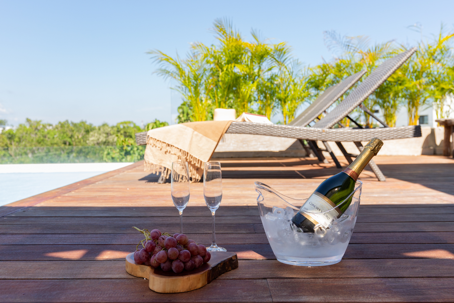  Panoramic View PH in Tulum  Modern Sophisticated Harmony - 物件實景
