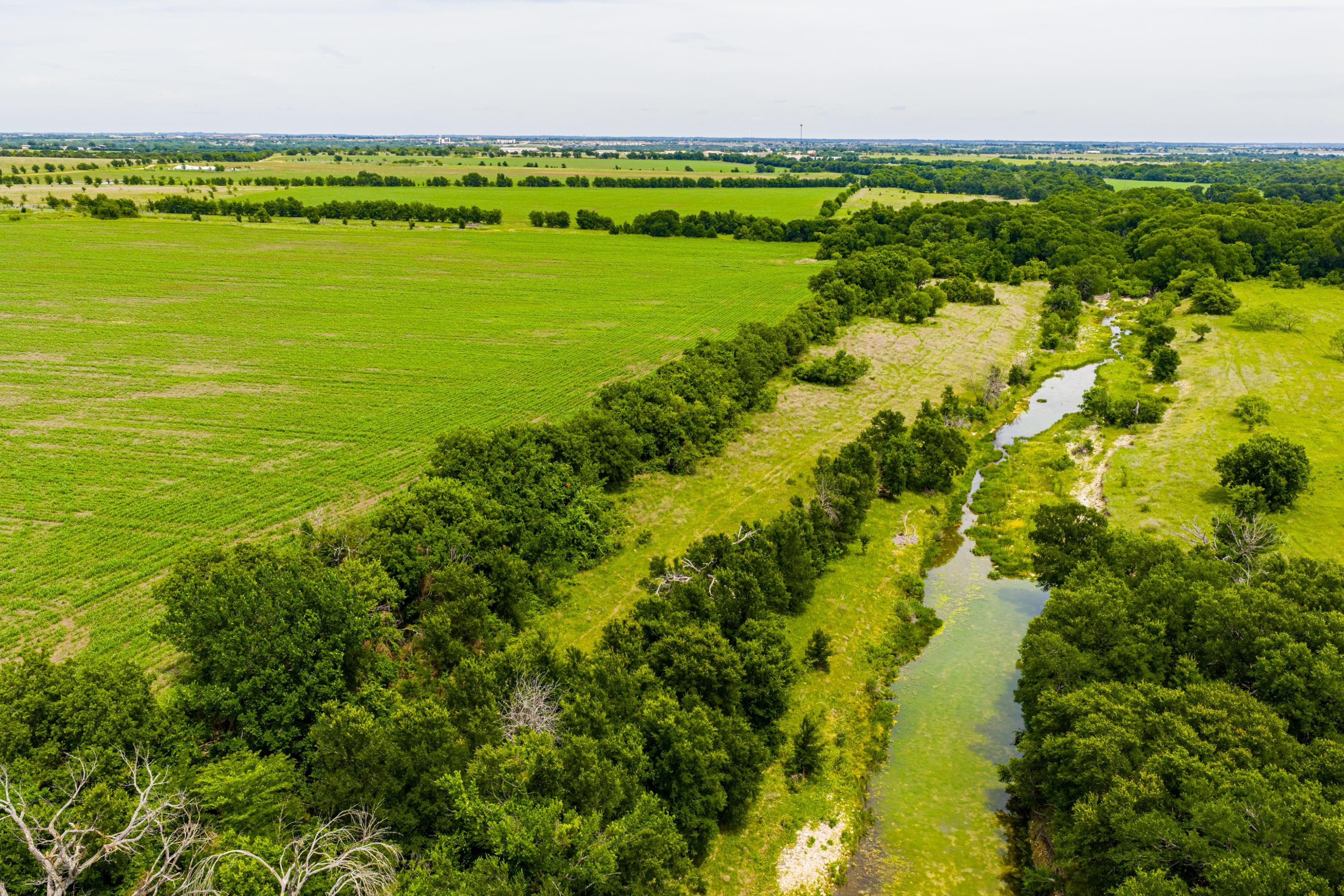  667 Acre Development Property With Two Miles Of Highway Frontage - 物件實景