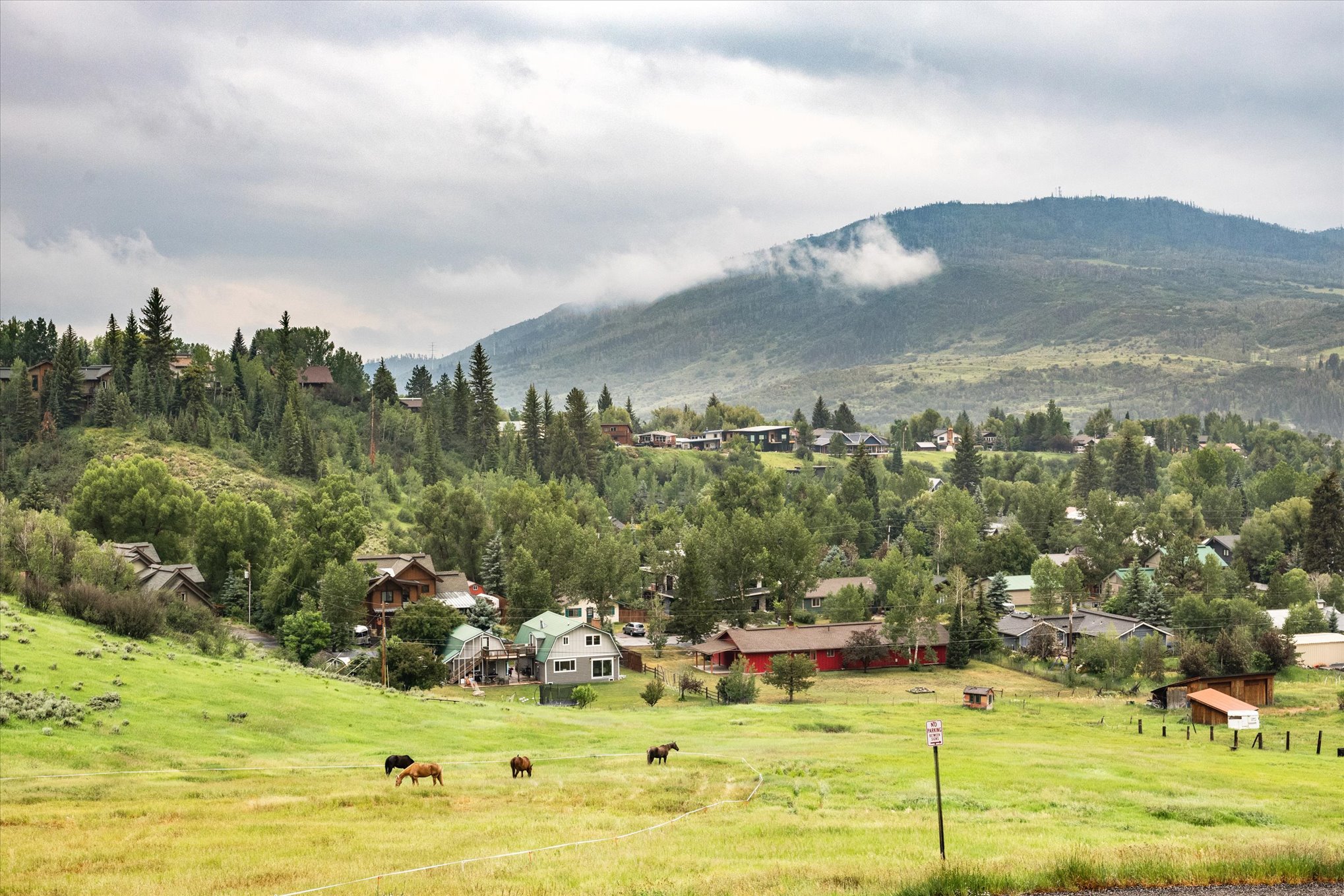  86 Woods Drive, Steamboat Springs, CO, 80487 - 物件實景