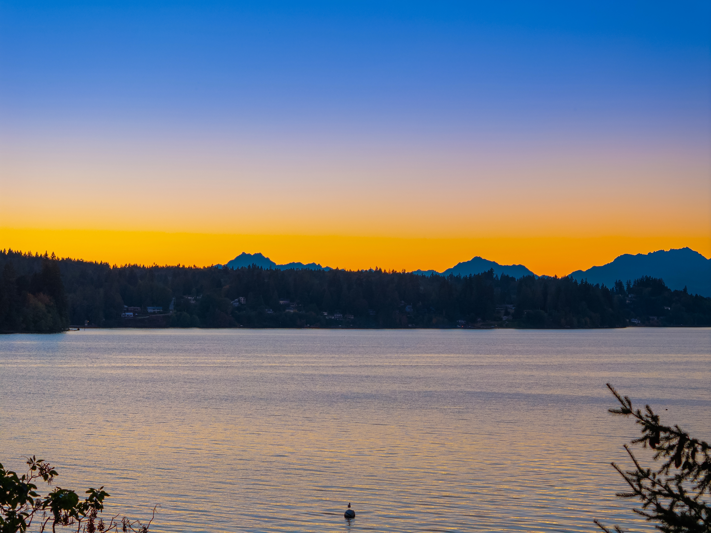 8405 Hansen Road Northeast, Bainbridge Island, WA 98110 - 物件實景
