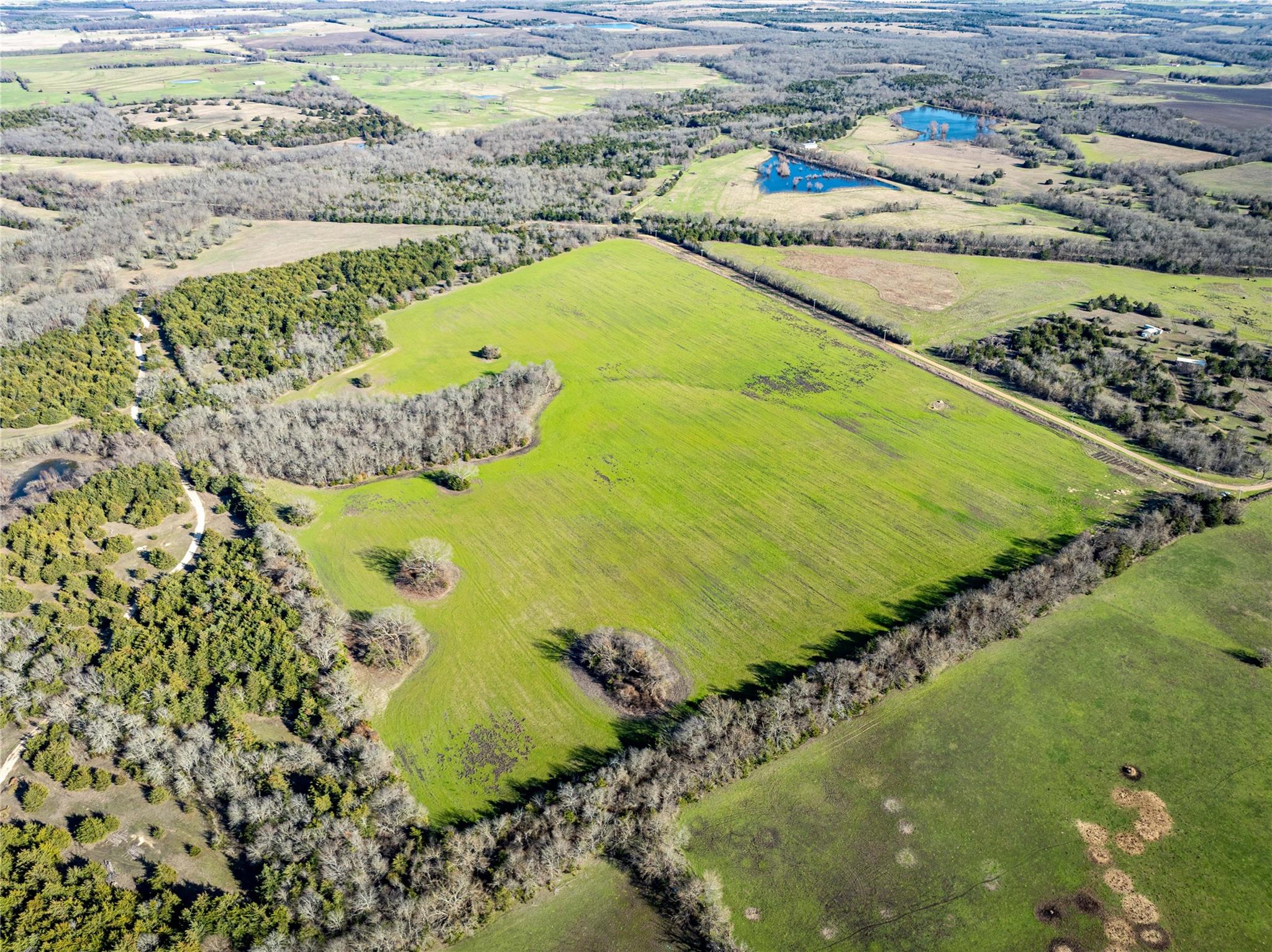 Roxton, Texas, 75477, United States, ,Residential,For Sale,1872354