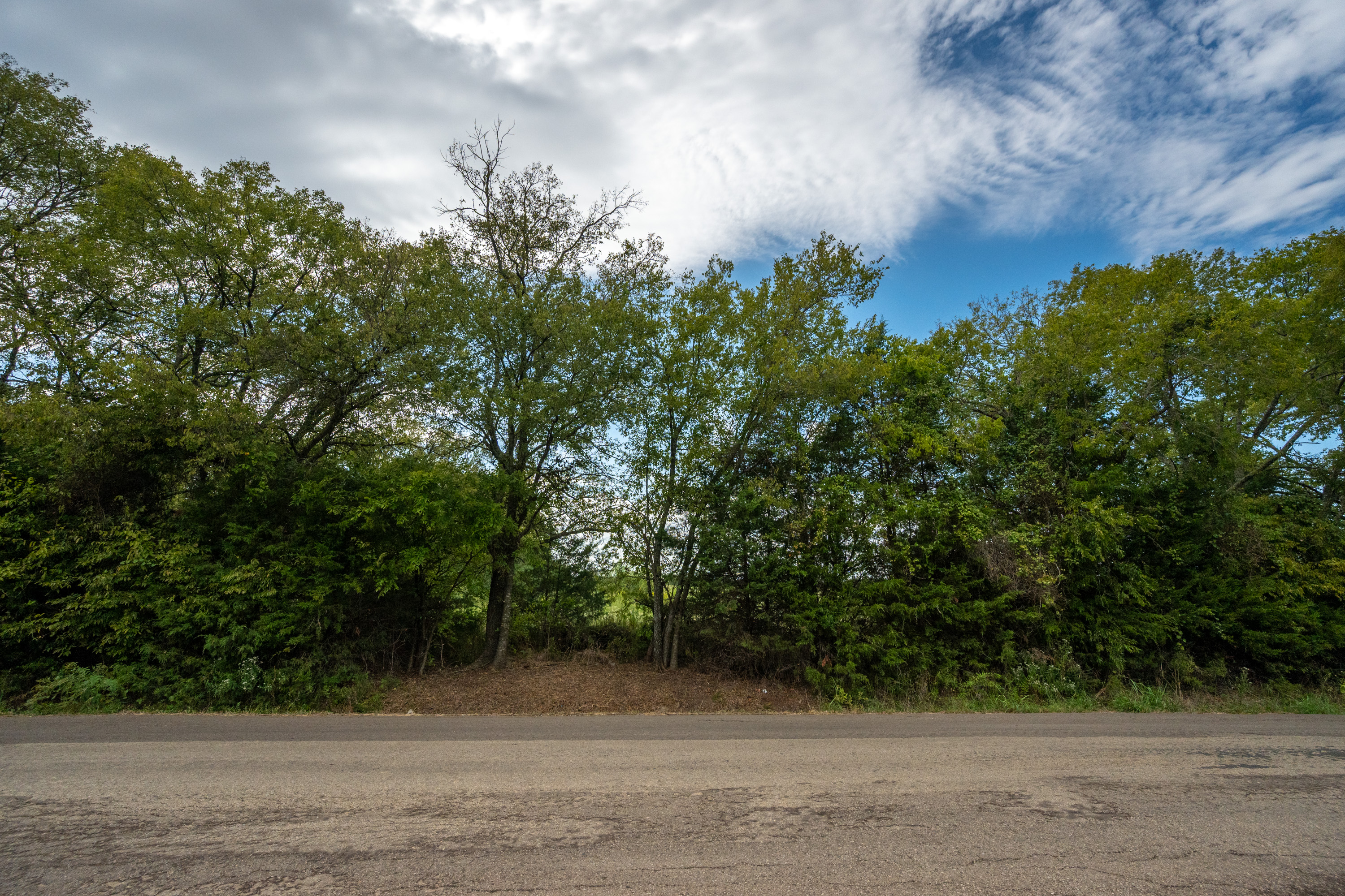 Caddo Mills, Texas, 75135, United States, ,Land,For Sale,1981418