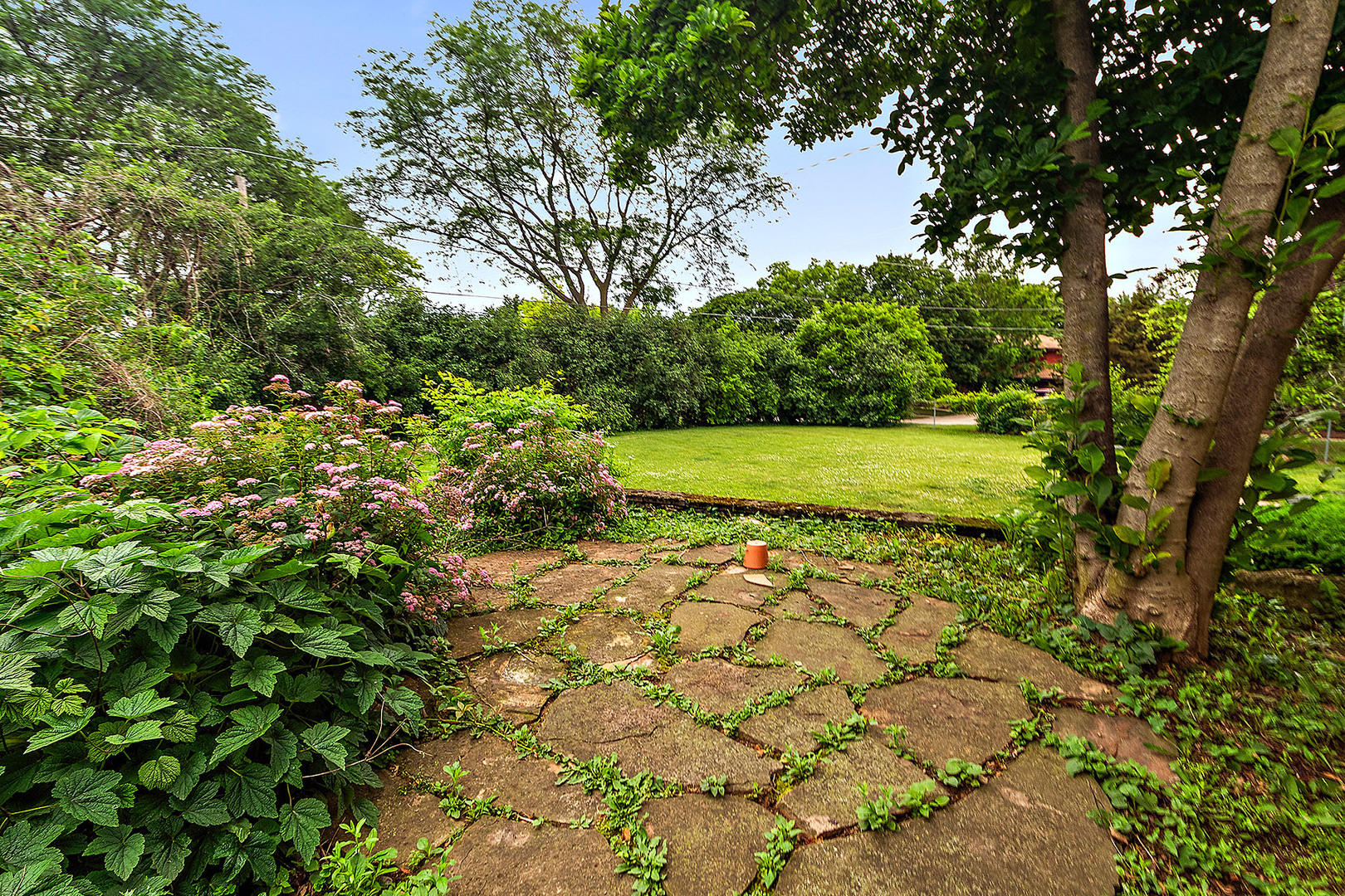 Downers Grove, Illinois, 60516, United States, 3 Bedrooms Bedrooms, ,2 BathroomsBathrooms,Residential,For Sale,1930940