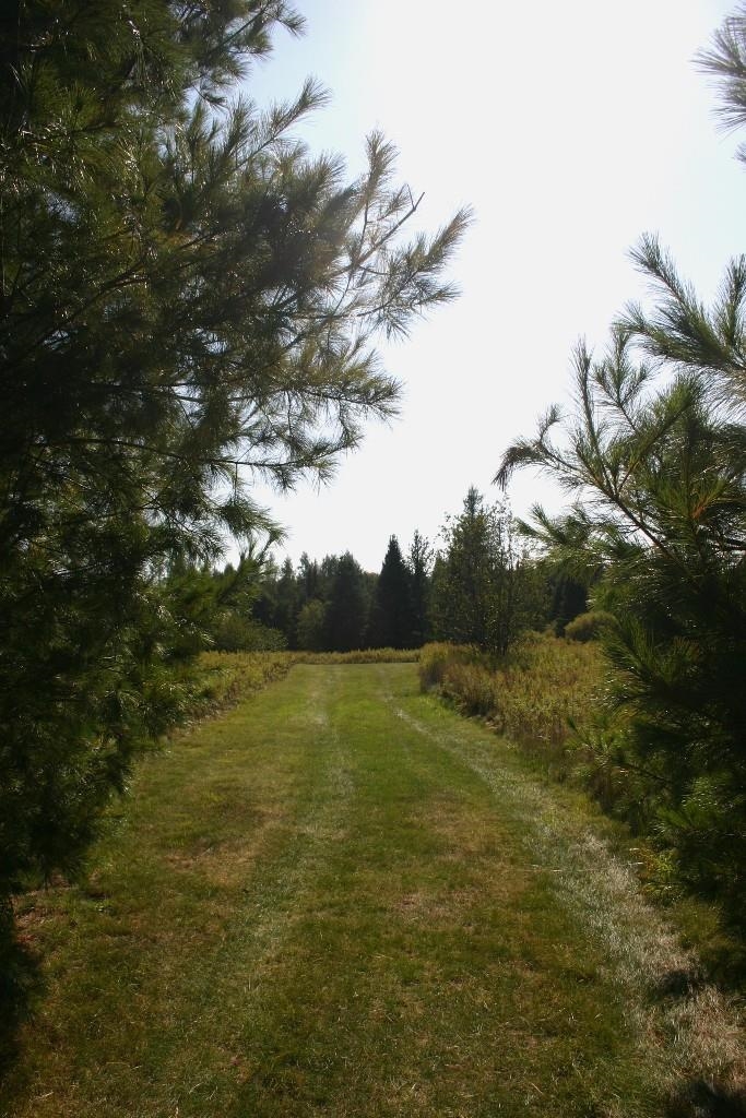 Butternut, Wisconsin, 54514, United States, ,Residential,For Sale,1921385