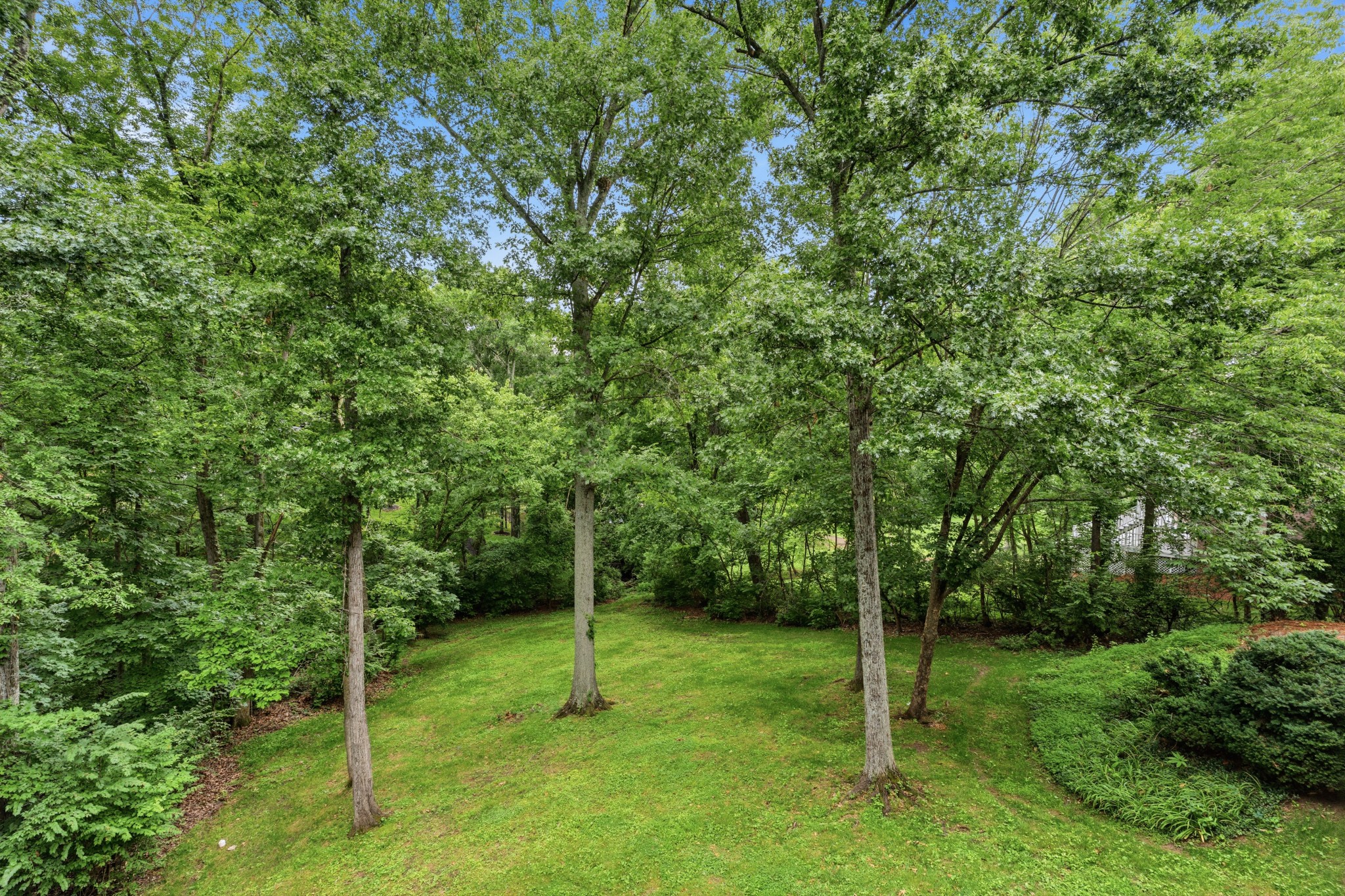  923 Stuart Ln, Brentwood, TN, 37027 - 物件實景