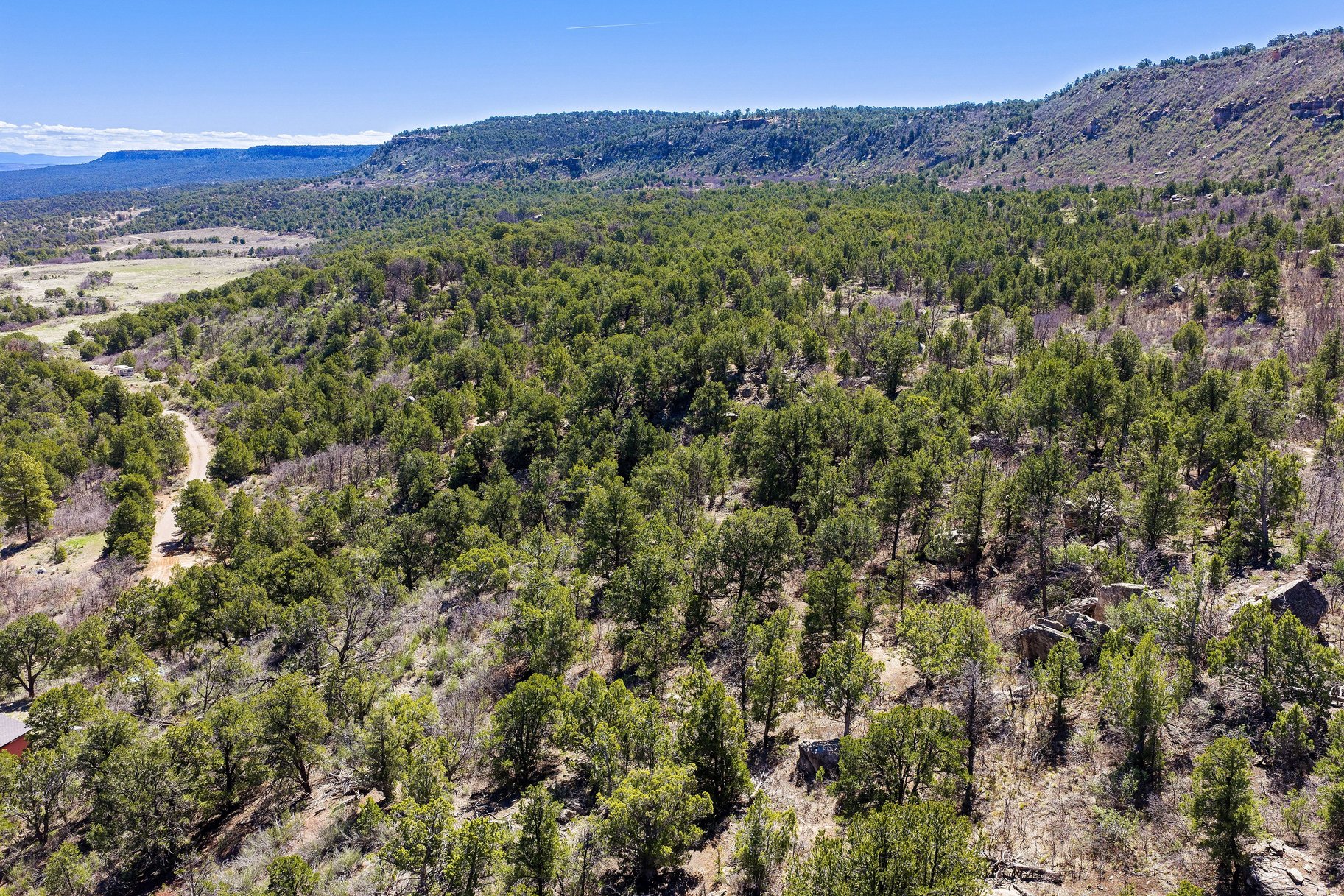  Secluded 18 Acre Wooded Lot In Old La Sal Utah - 物件實景
