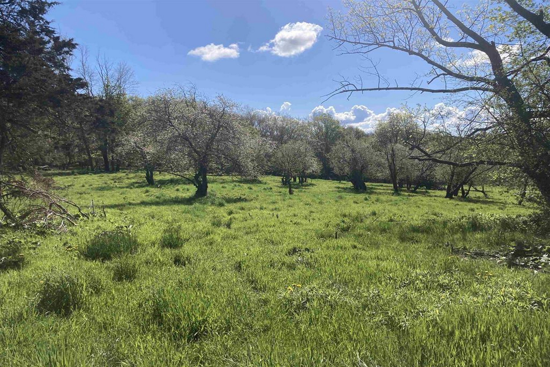  1555 Spear Street - 物件實景