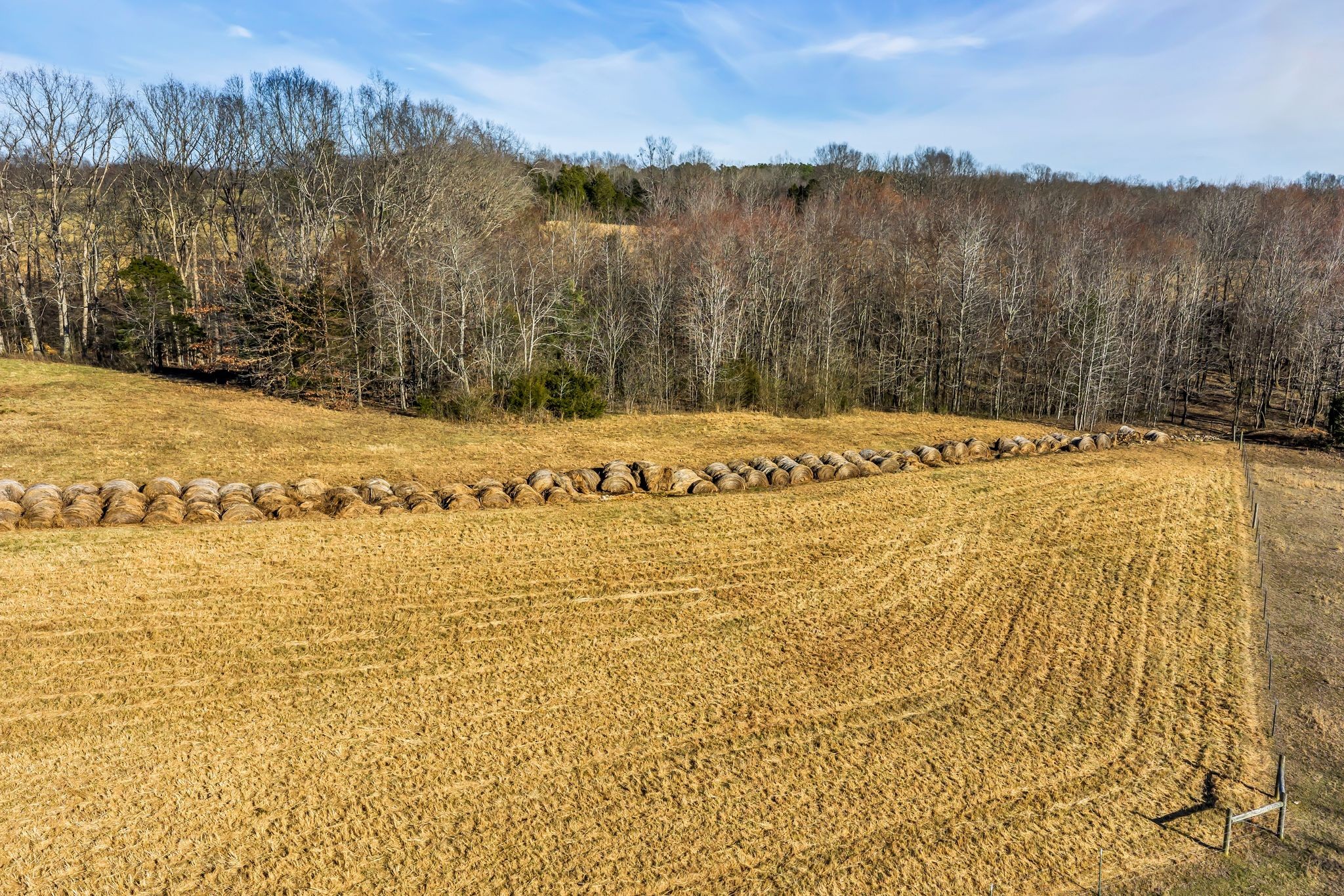  2340 Ridge Road, McEwen, TN 37101 - 物件實景