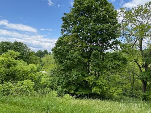 Colerain Twp, Ohio, 45247, United States, ,Land,For Sale,1837914