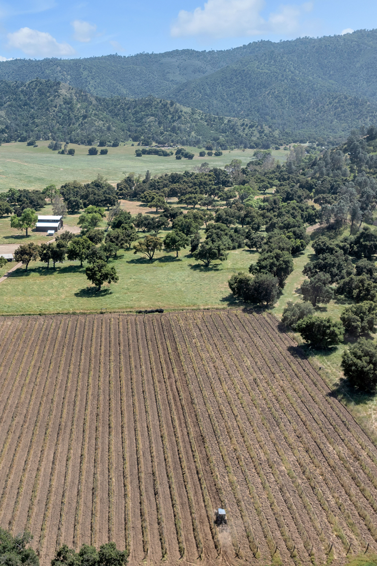 770 Limekiln Road - 物件實景
