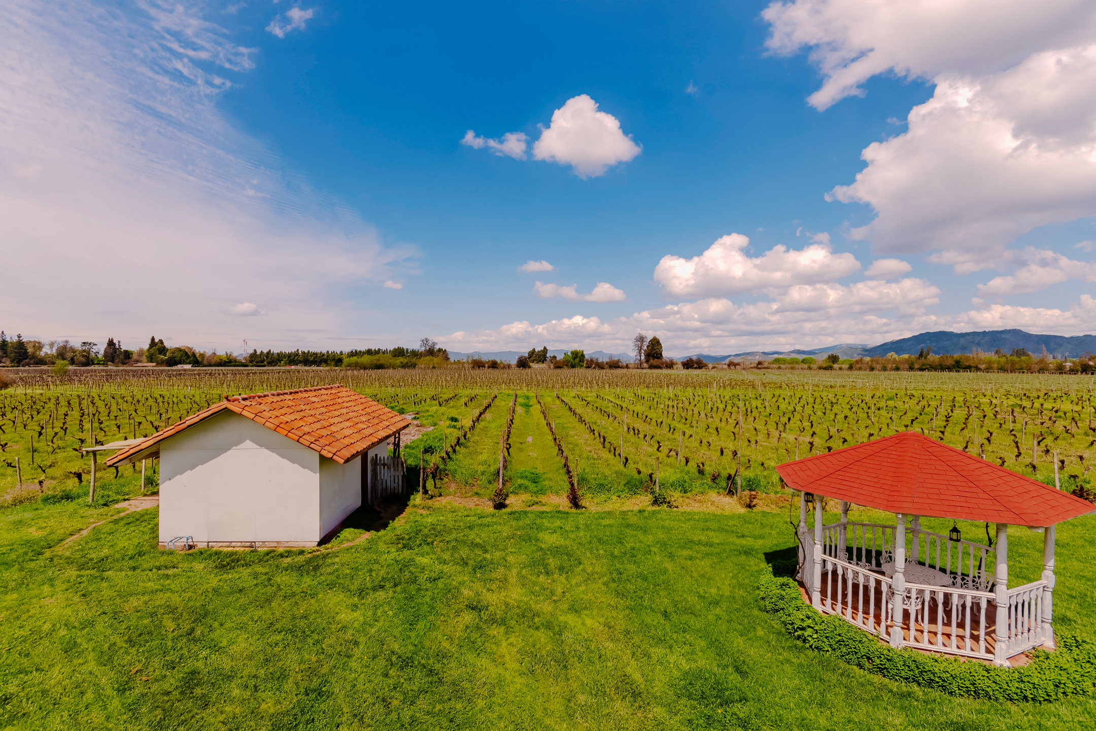  Chilean colonial-style mansion in a 3.3-hectare vineyard in Santa Cruz. - 物件實景