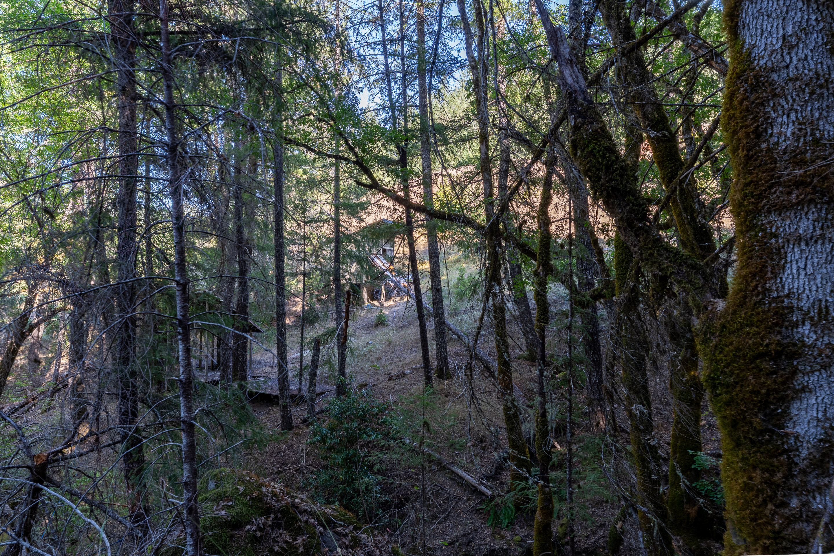 Willits, California, 95490, United States, 2 Bedrooms Bedrooms, ,2 BathroomsBathrooms,Residential,For Sale,1959114