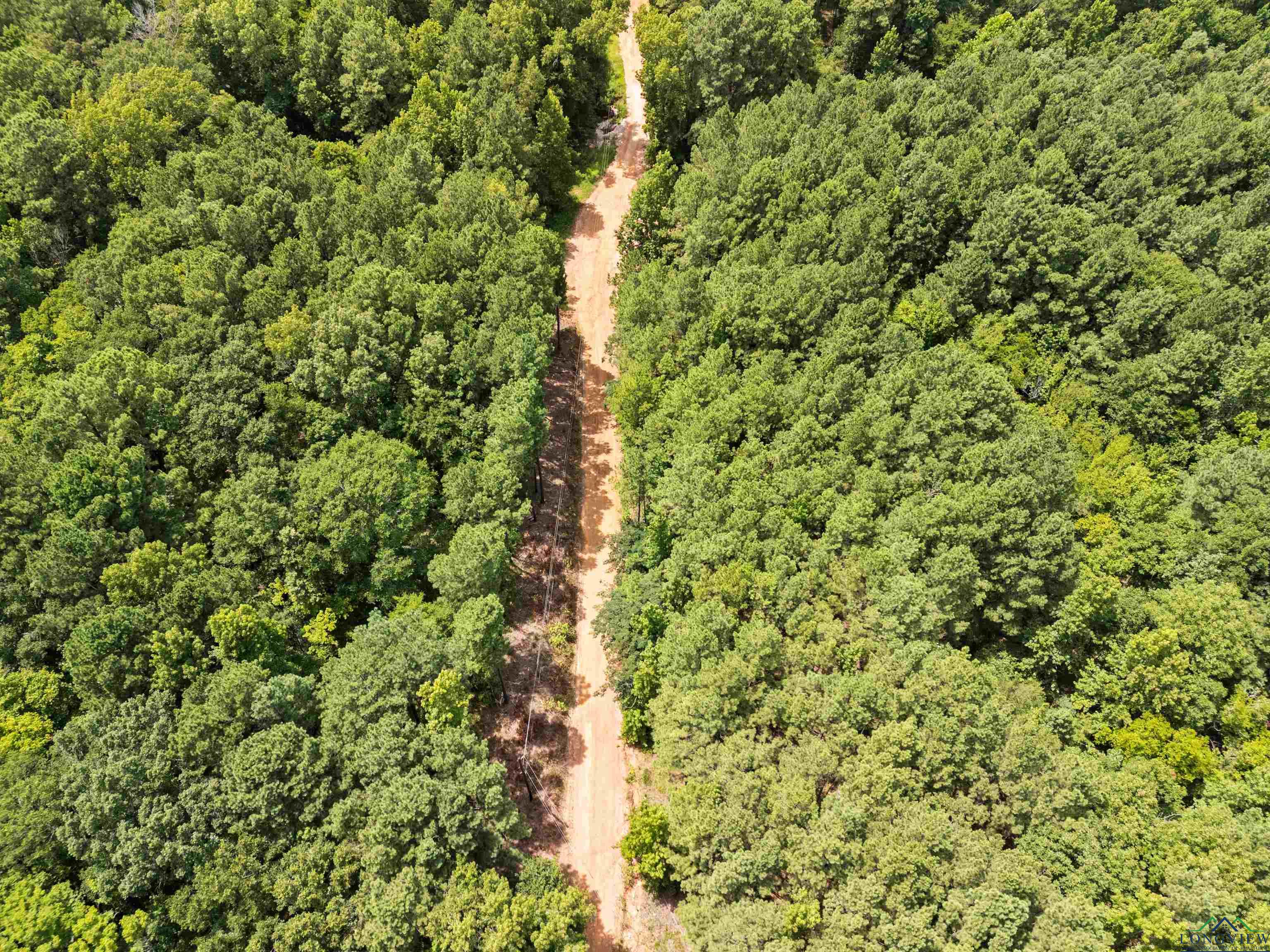 Kilgore, Texas, 75662, United States, ,Land,For Sale,1902397