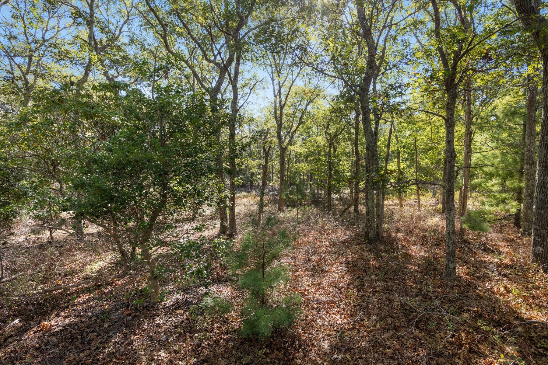  Dazzling East Hampton Compound Featured in Architectural Digest - 物件實景