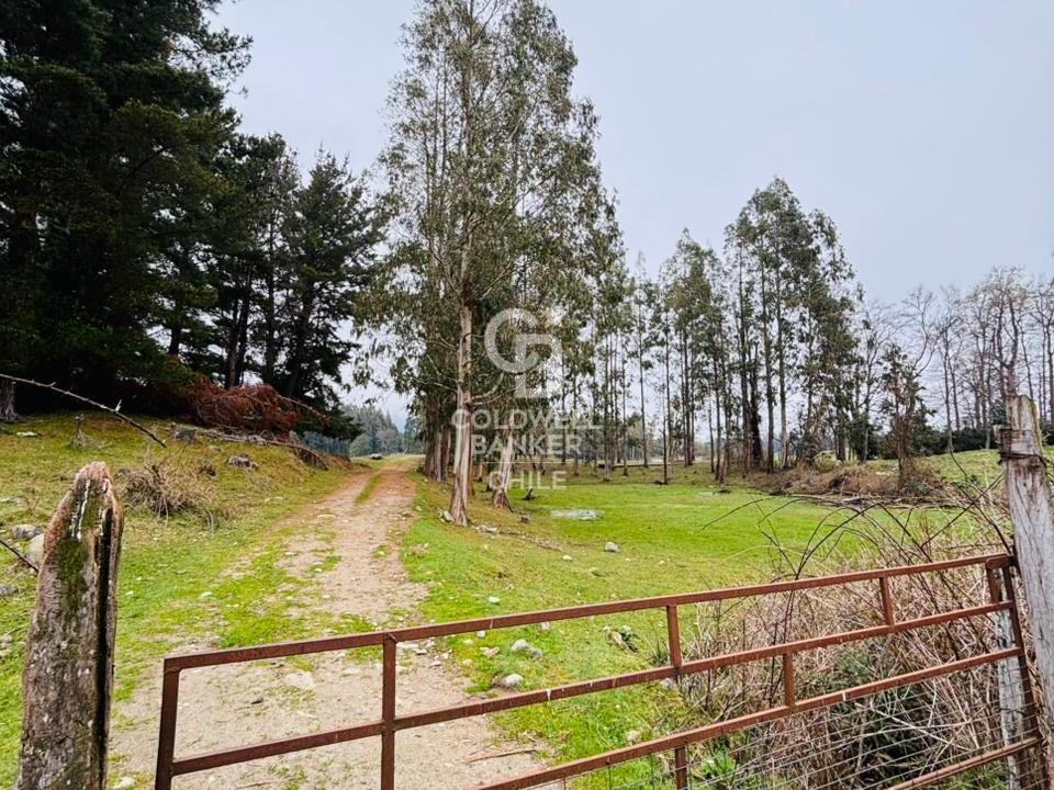 Futrono, Chile, ,Residential,For Sale,1934397