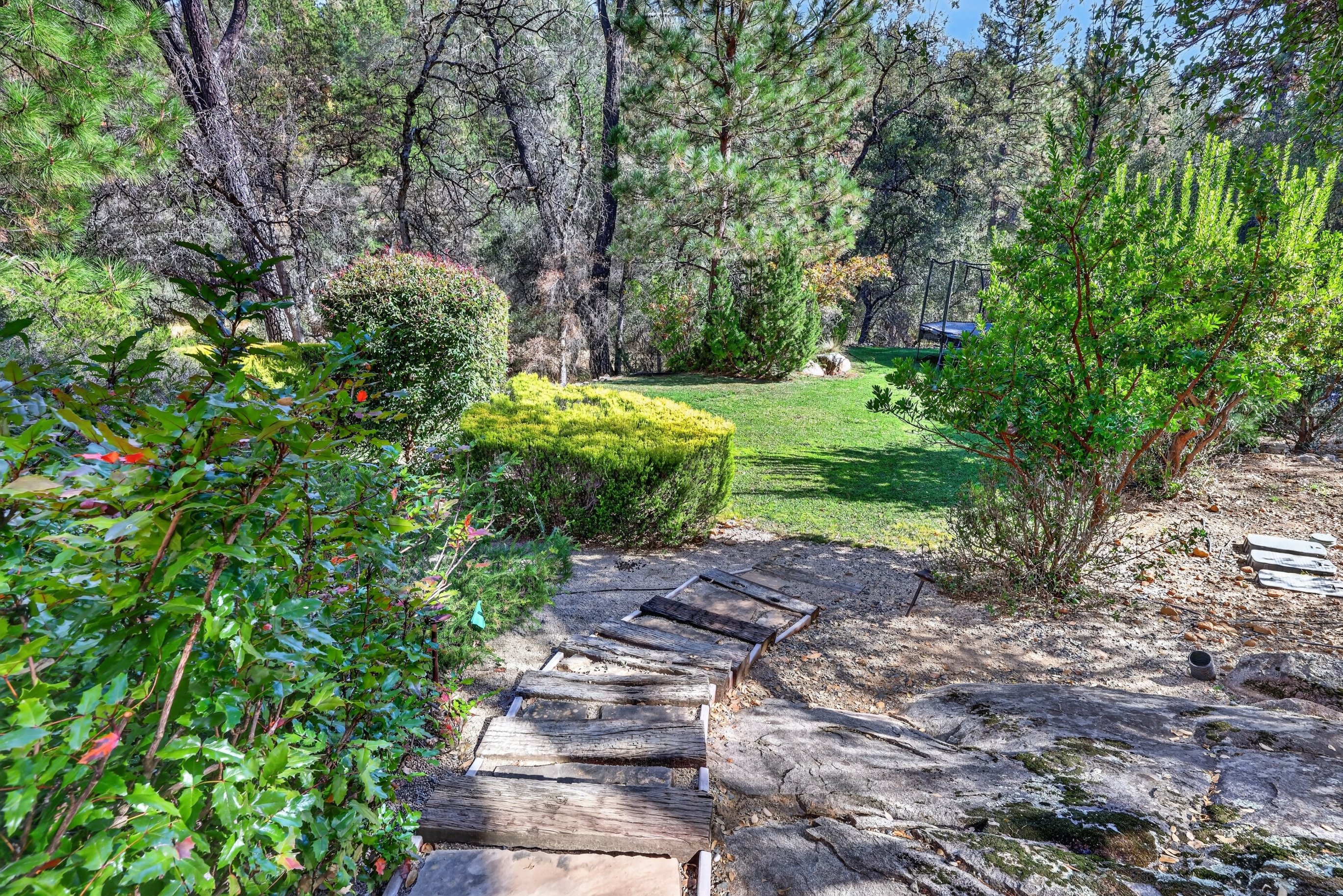  16279 Winchester Club Drive, Meadow Vista, CA 95722 - 物件實景