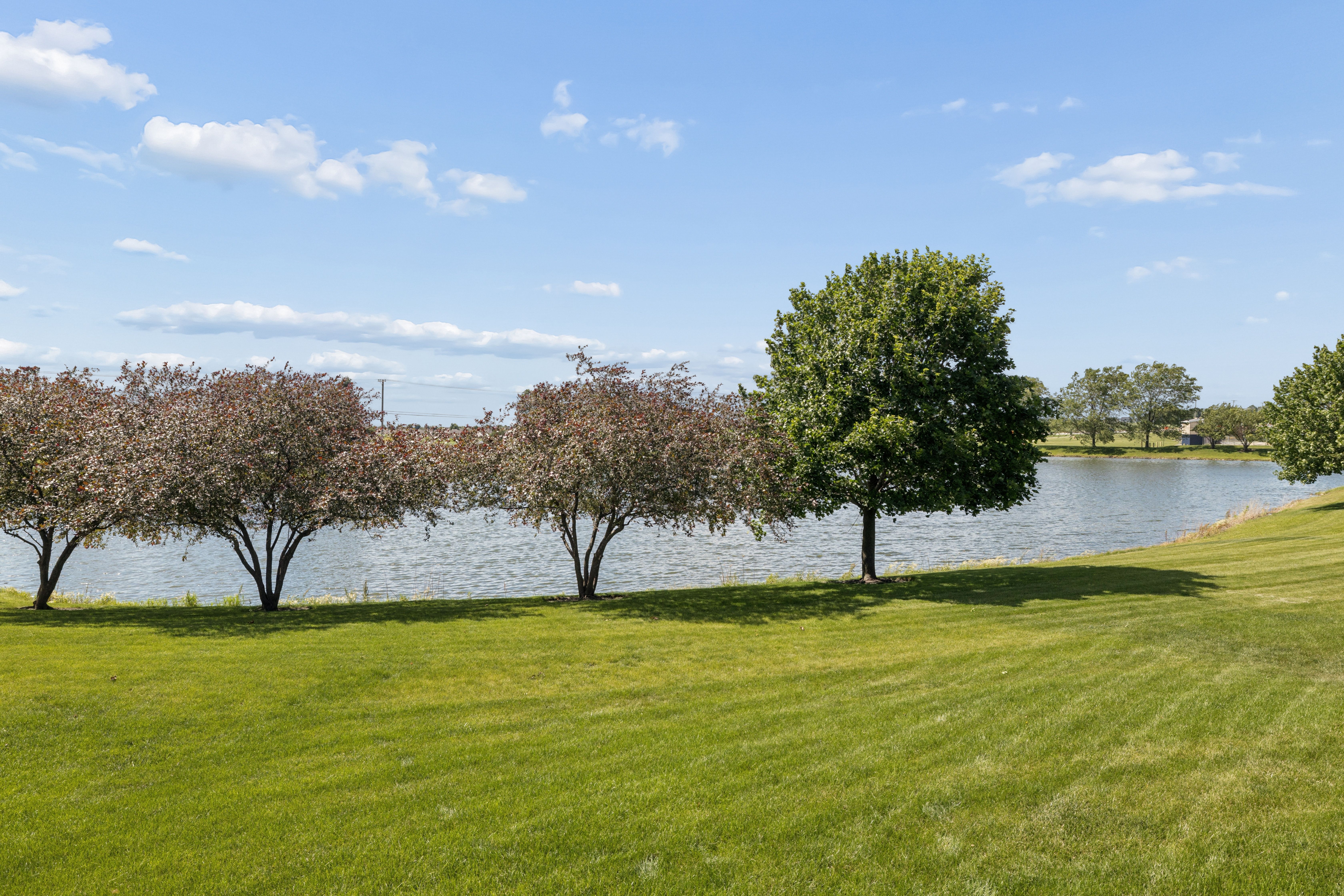  Wake Up Each Morning to Tranquil Pond Views - 物件實景