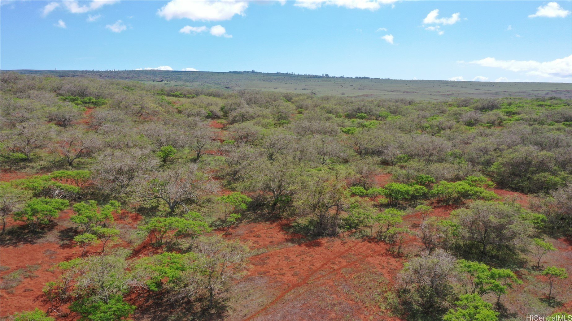 Maunaloa, Hawaii, 96770, United States, ,Land,For Sale,1977716