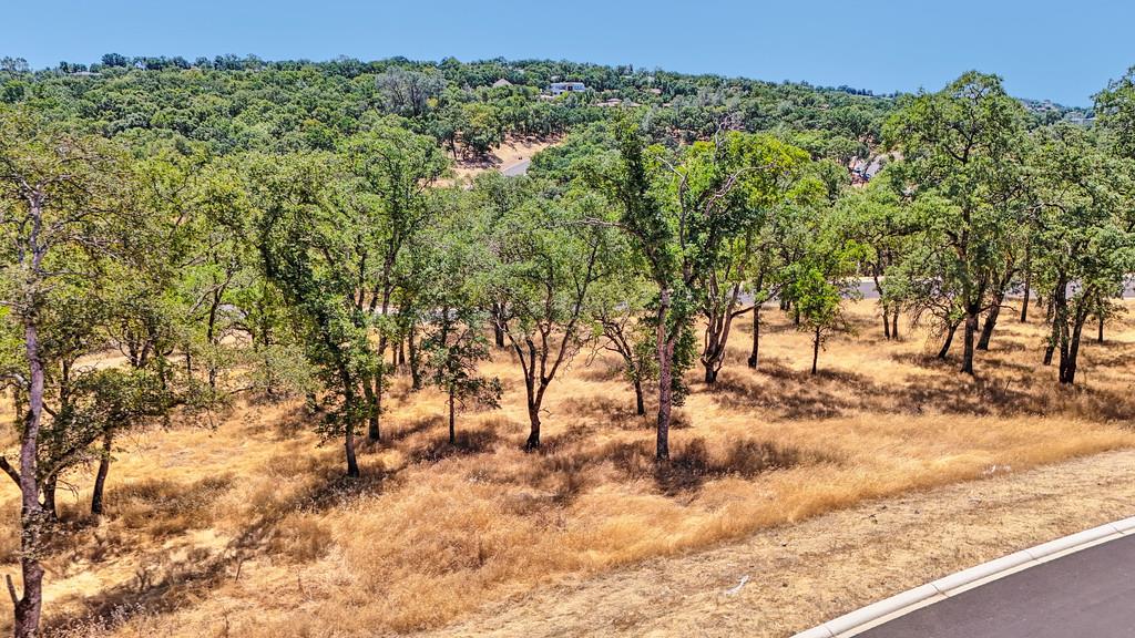 El Dorado Hills, California, 95762, United States, ,Land,For Sale,1874458