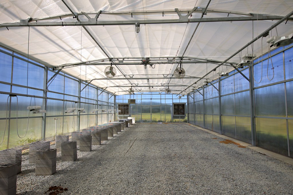 Pavo, Georgia, 31778, United States, ,Residential,For Sale,1988640