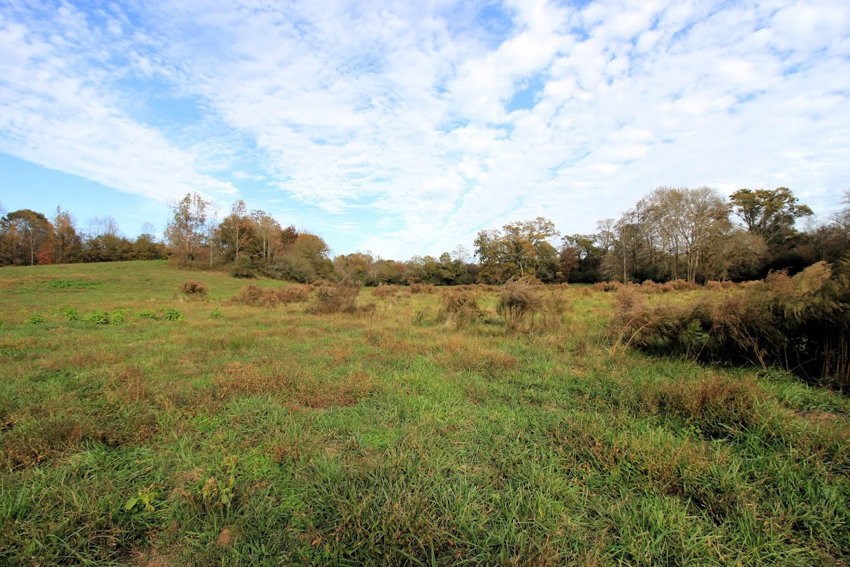 Bowdon, Georgia, 30108, United States, ,Land,For Sale,1989904