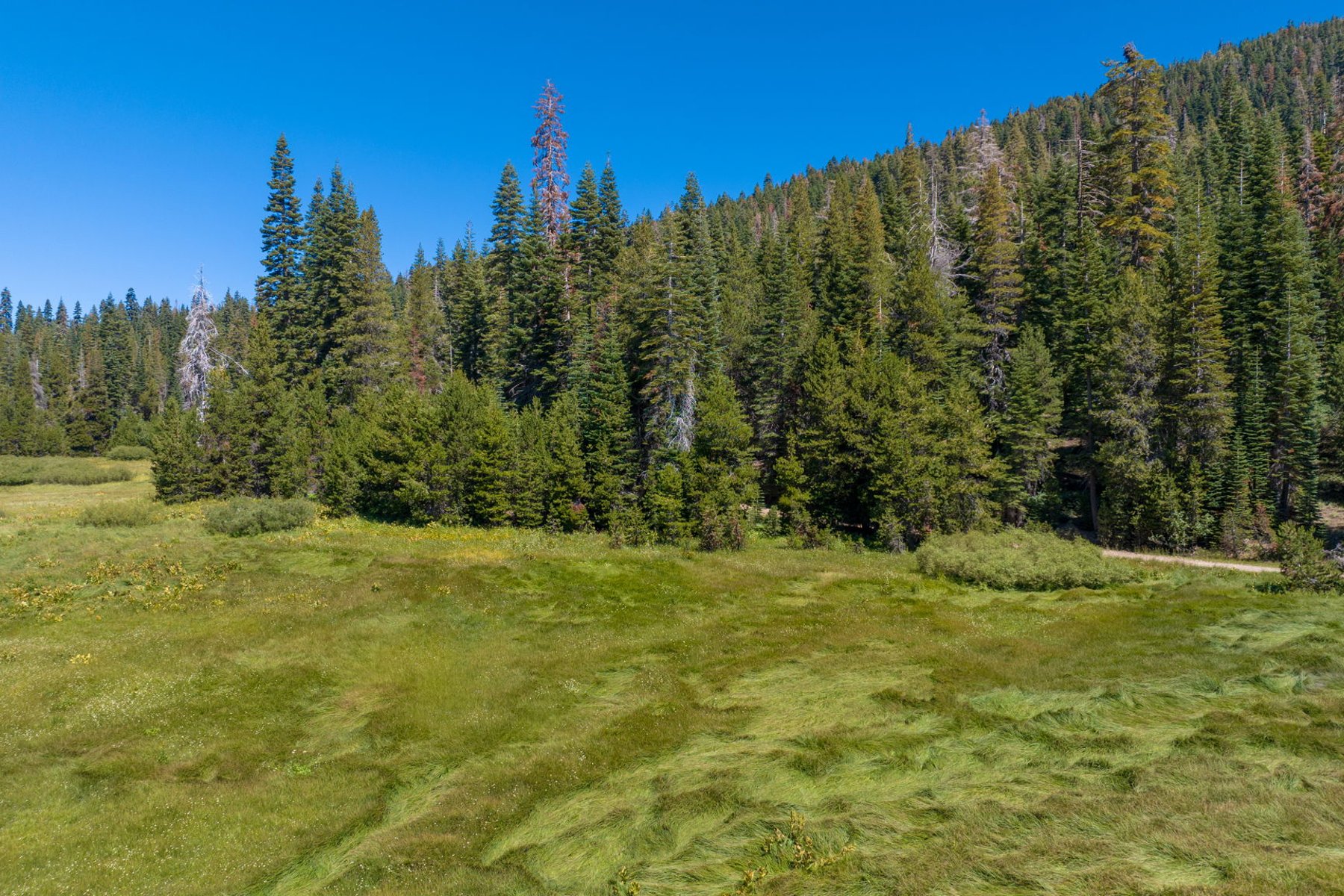  80 Acres of Pristine Land in the Middle of Plumas Eureka State Park - 物件實景