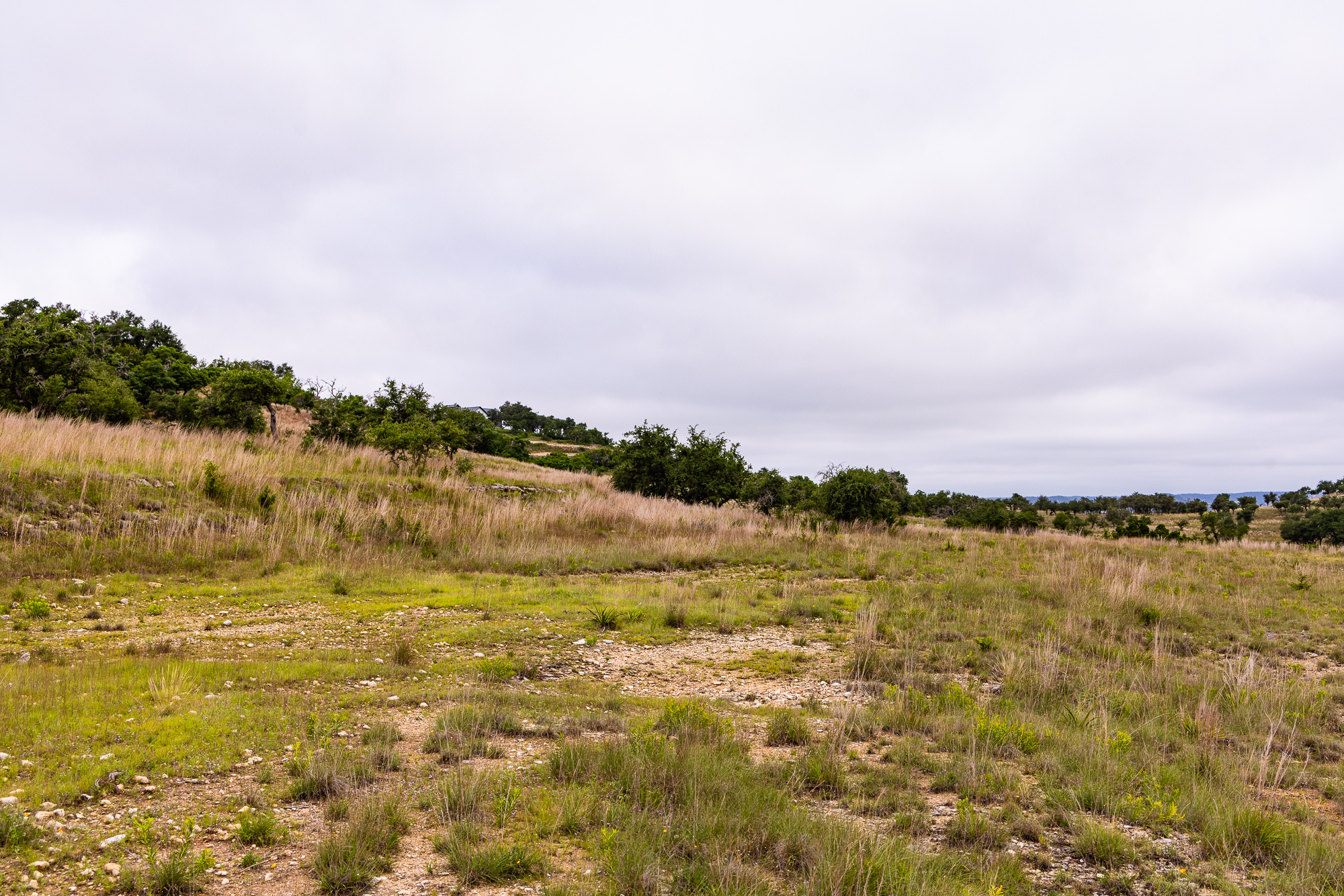  Expansive 10-Acre Lot - 物件實景