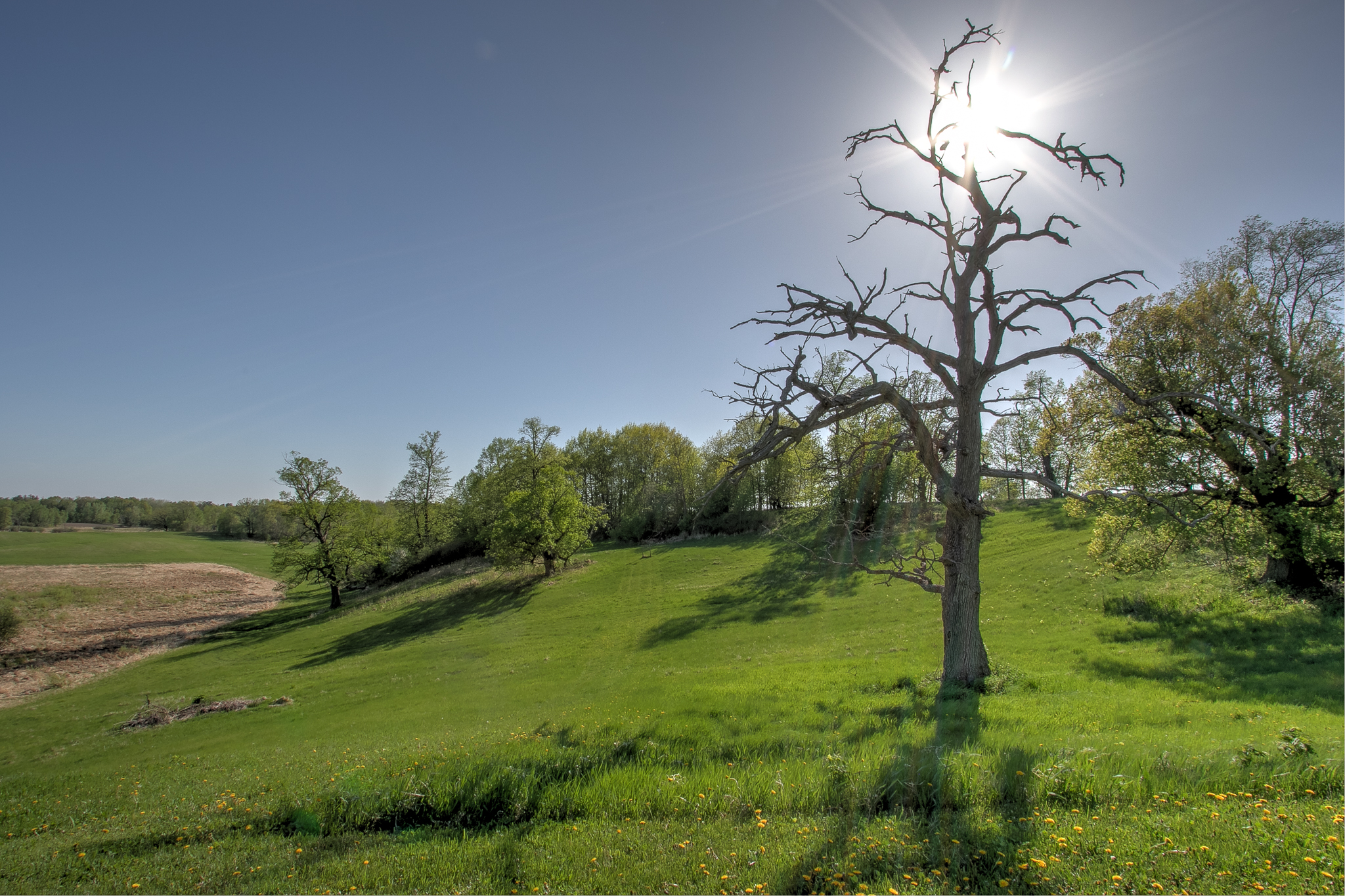 Braham, Minnesota, 55006, United States, 4 Bedrooms Bedrooms, ,2 BathroomsBathrooms,Residential,For Sale,1975992