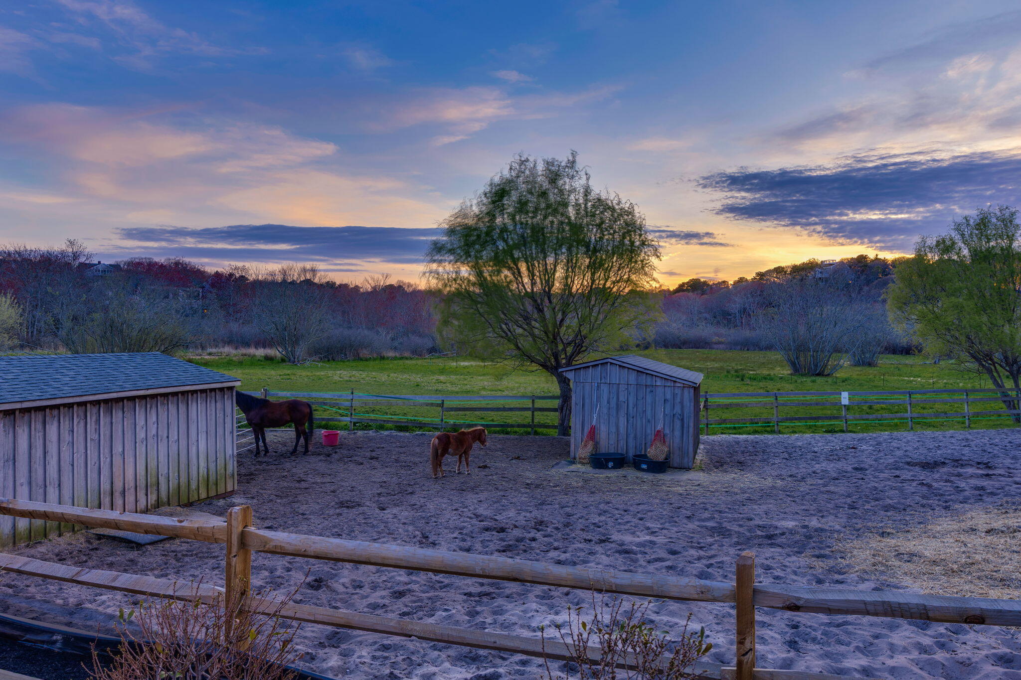  Rare 5-Acre Provincetown Horse Farm with Newly Built Home - 物件實景