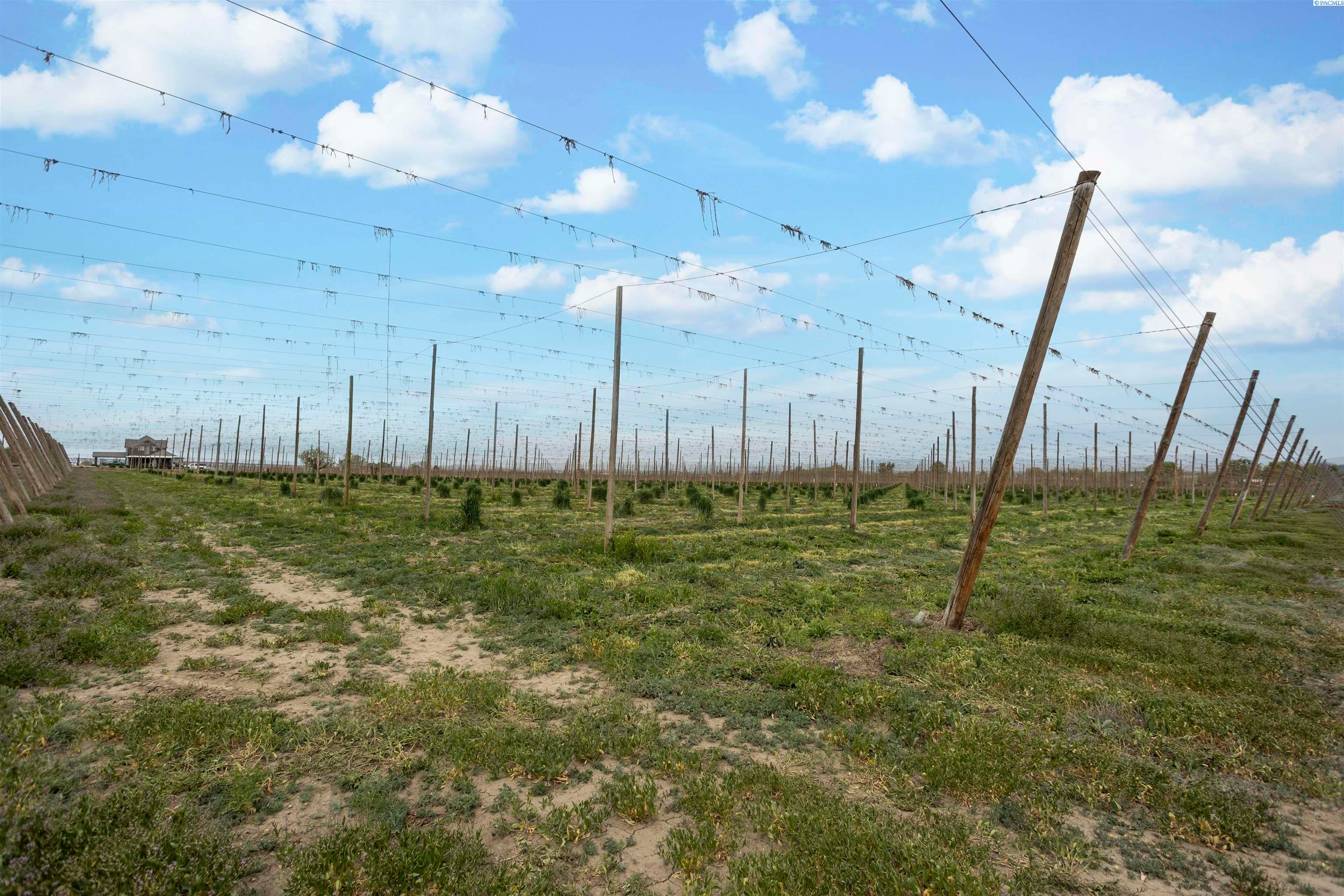 Grandview, Washington, 98930, United States, ,Land,For Sale,1981423