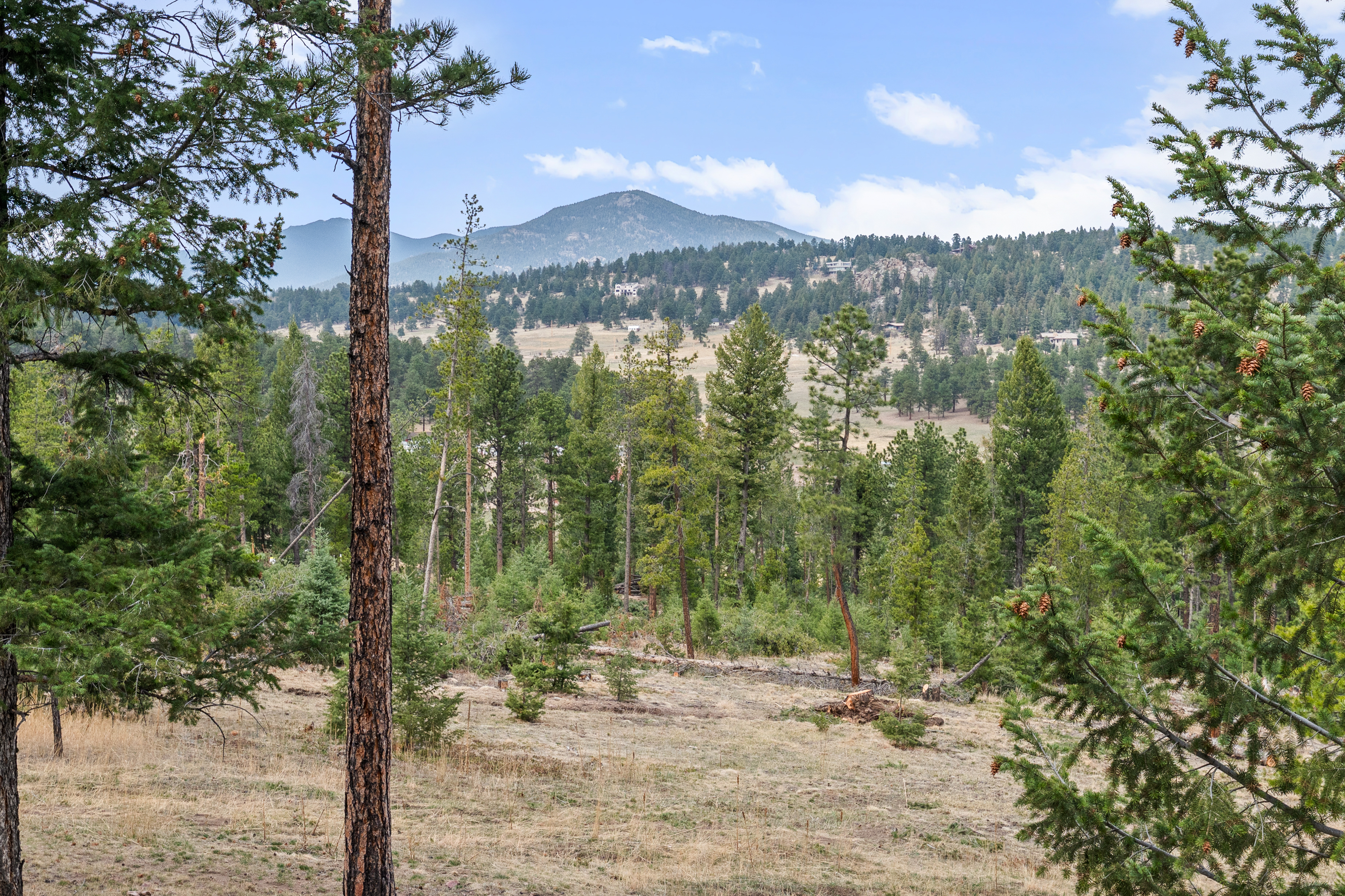  Freedom to Live Your Own Way - 物件實景