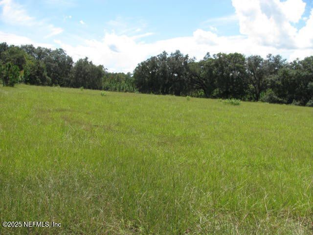 Crescent City, Florida, 32112, United States, ,Land,For Sale,1974247