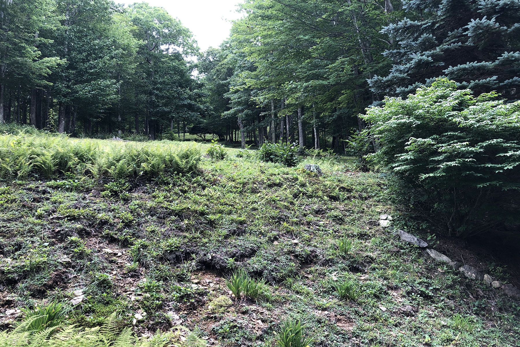  BANNER ELK - ROCKY KNOB - 物件實景