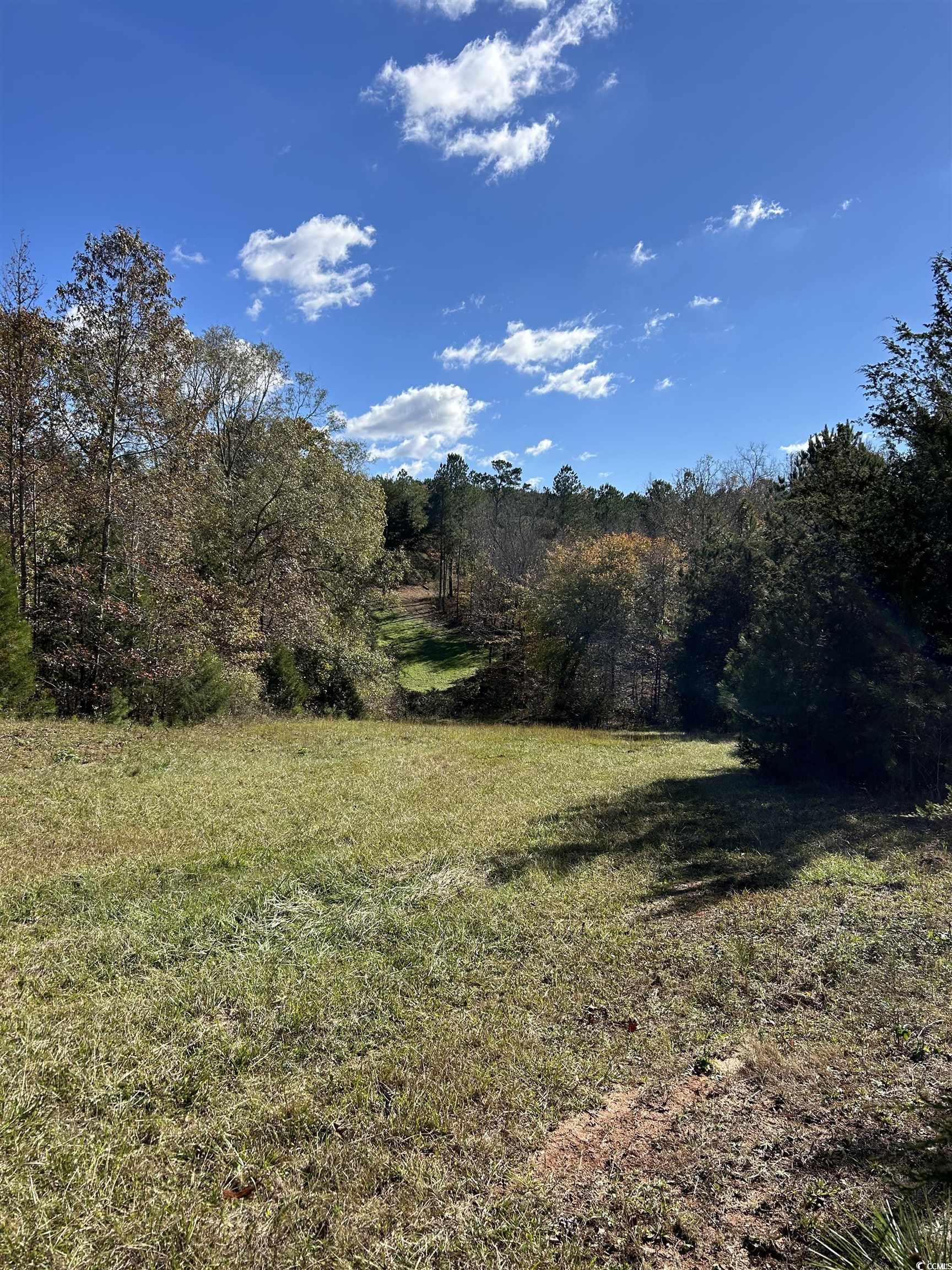  TBD River Fork Rd - 物件實景