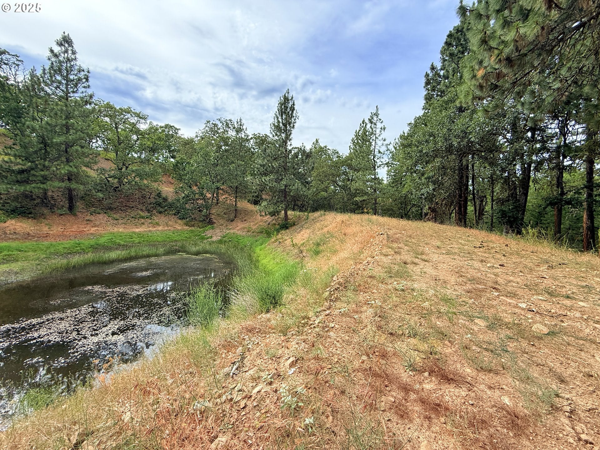 Lyle, Washington, 98635, United States, 3 Bedrooms Bedrooms, ,2 BathroomsBathrooms,Residential,For Sale,1875194