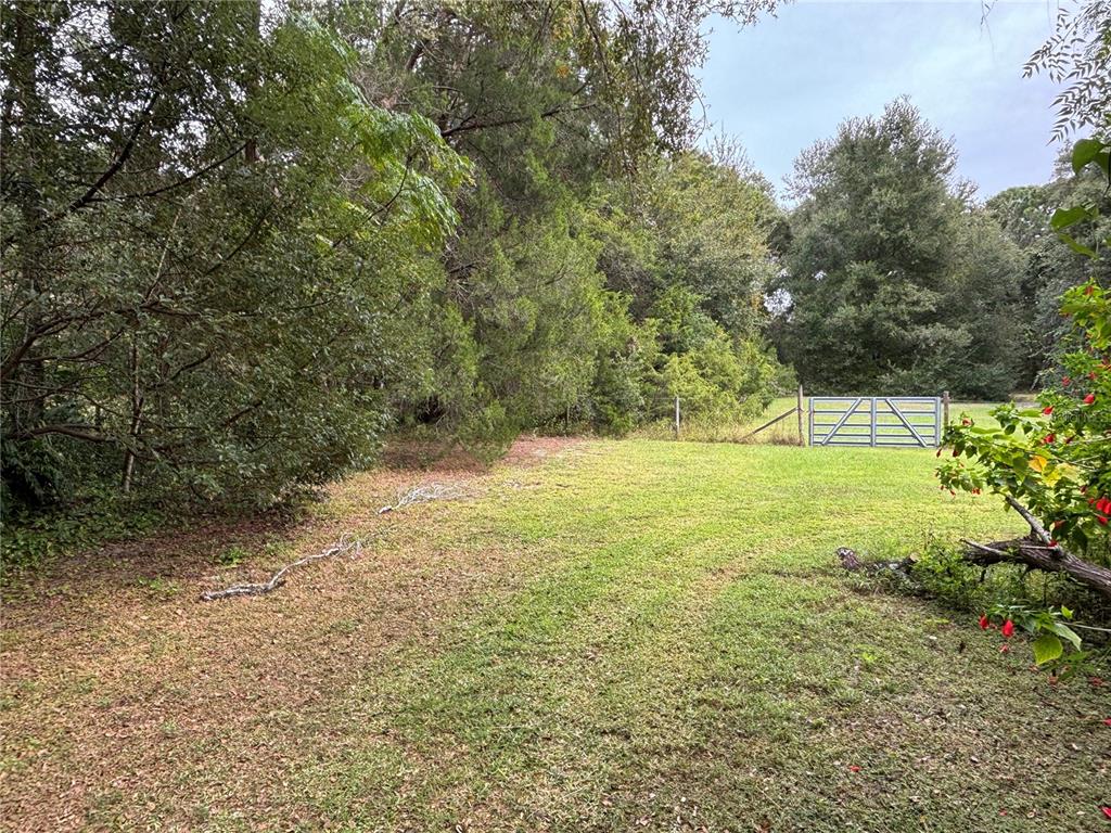 Apopka, Florida, 32712, United States, ,Land,For Sale,1998337