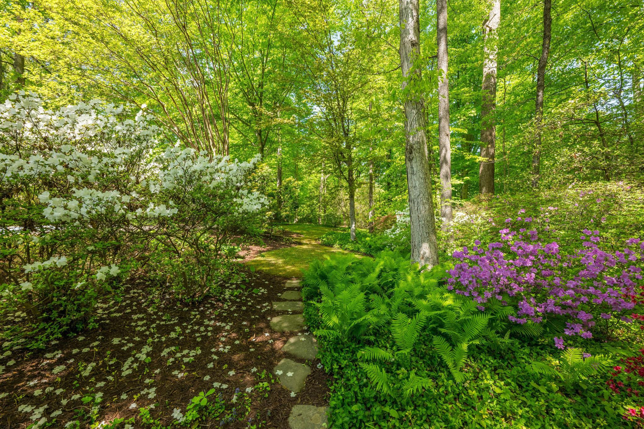  7019 Armat Drive, Bethesda, MD, 20817 - 物件實景