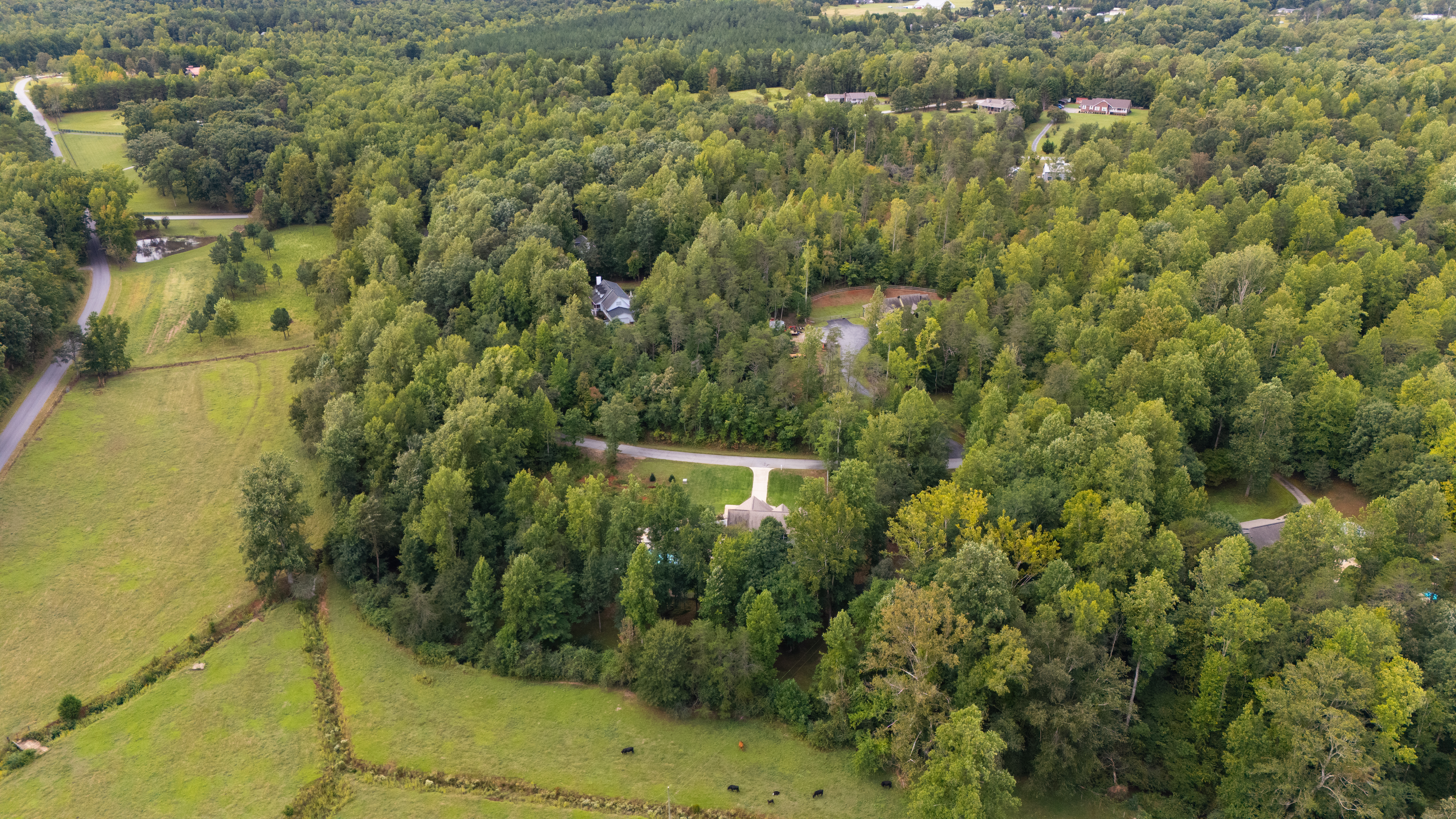  40 McCarrell Road, Travelers Rest, SC 29690 - 物件實景