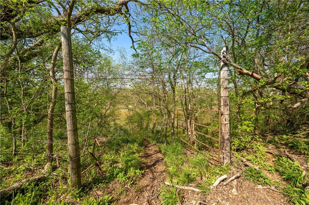 102 +/- ACRES OFF OF CR 326, Rosebud, Texas, 76570, United States, ,Land,For Sale,102 +/- ACRES OFF OF CR 326,1459967