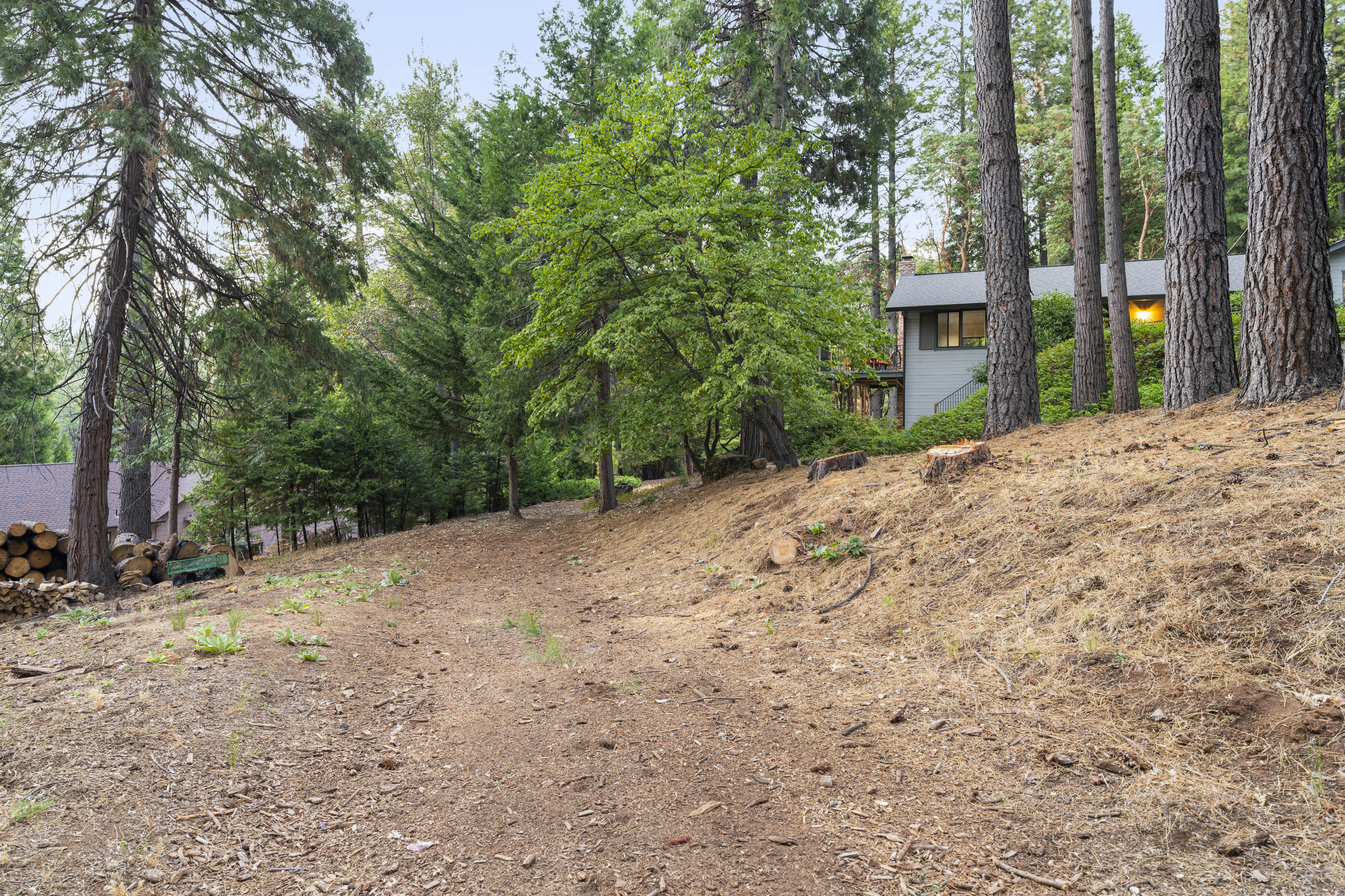  6161 Puerta Del Sol Road, Camino, CA 95709 - 物件實景