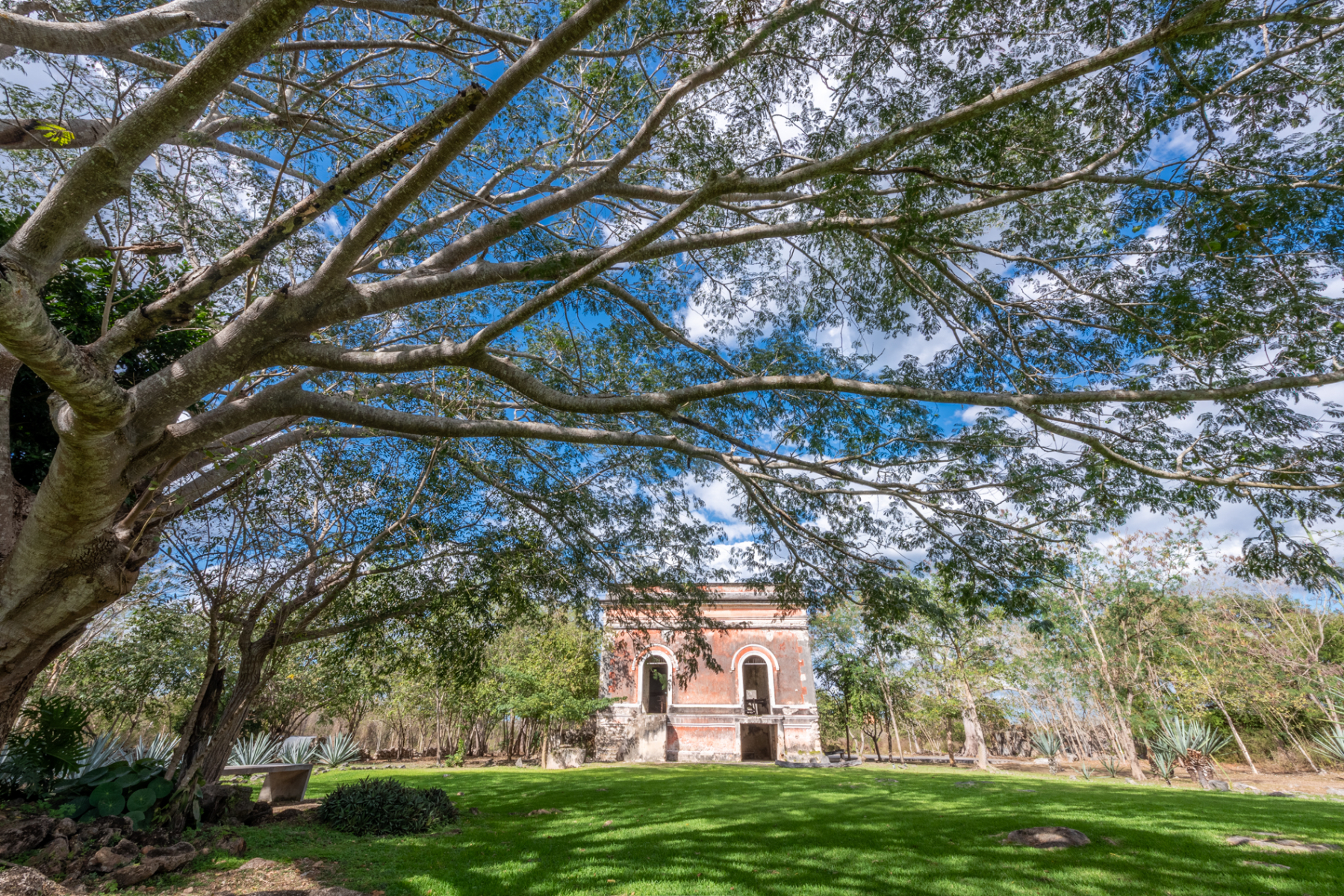  HACIENDA SERENITY OASIS RETREAT IN YUCATAN - 物件實景