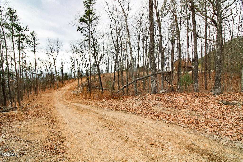 Sevierville, Tennessee, 37876, United States, ,Land,For Sale,2008093
