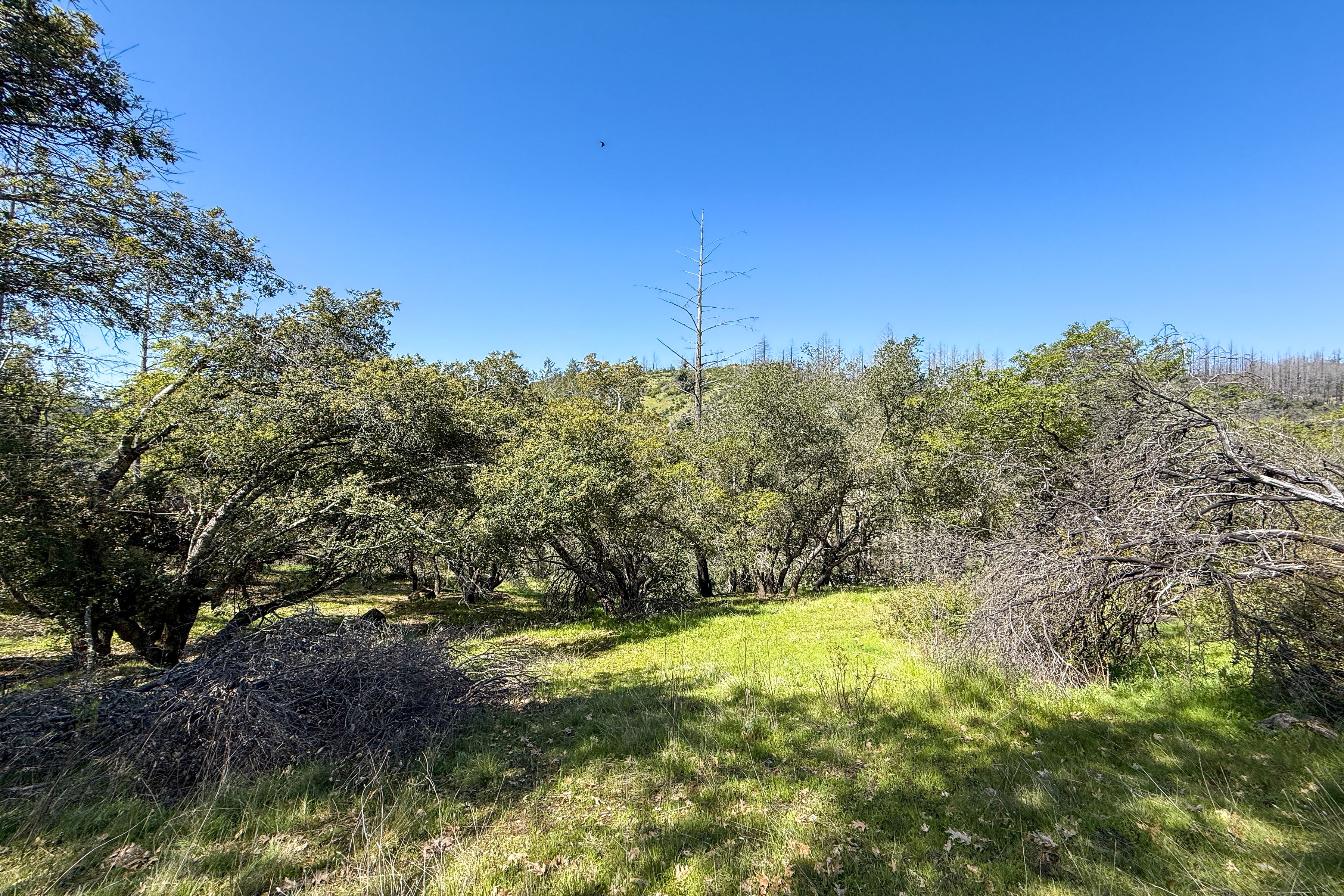  7935 St Helena Road - 物件實景