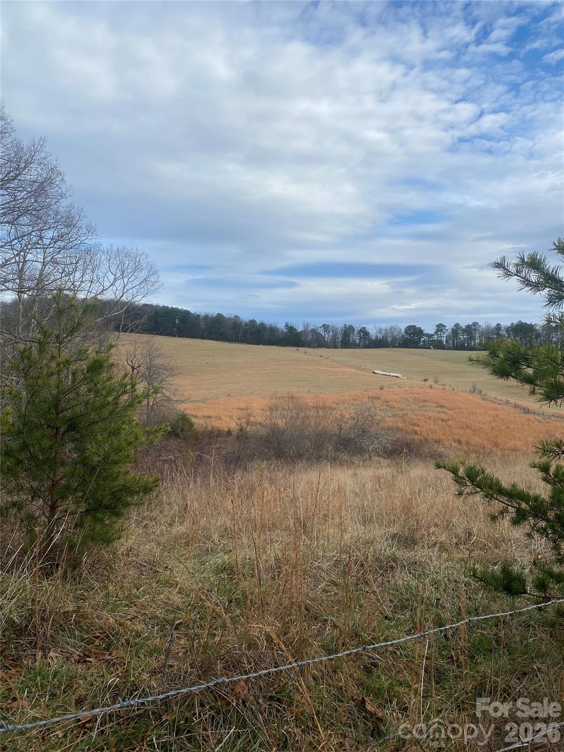 Hendersonville, North Carolina, 28792, United States, ,Land,For Sale,2010421