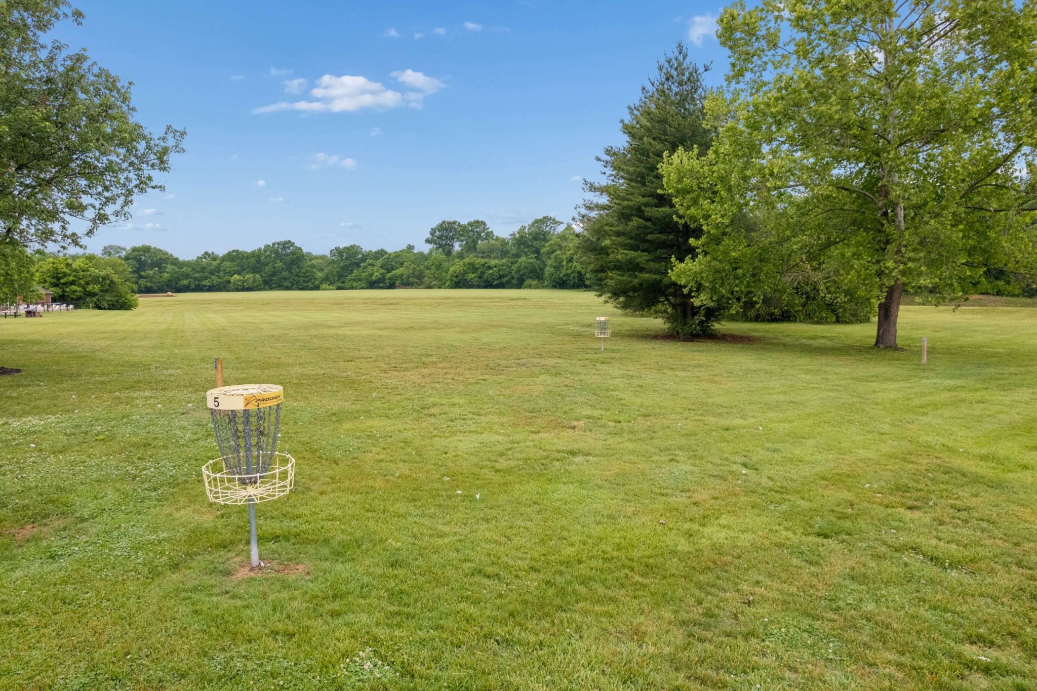  141 Cottonwood Dr, Franklin, TN, 37069 - 物件實景