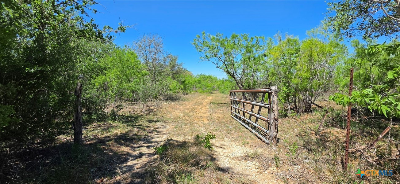 Seguin, Texas, 78155, United States, ,Land,For Sale,2048834